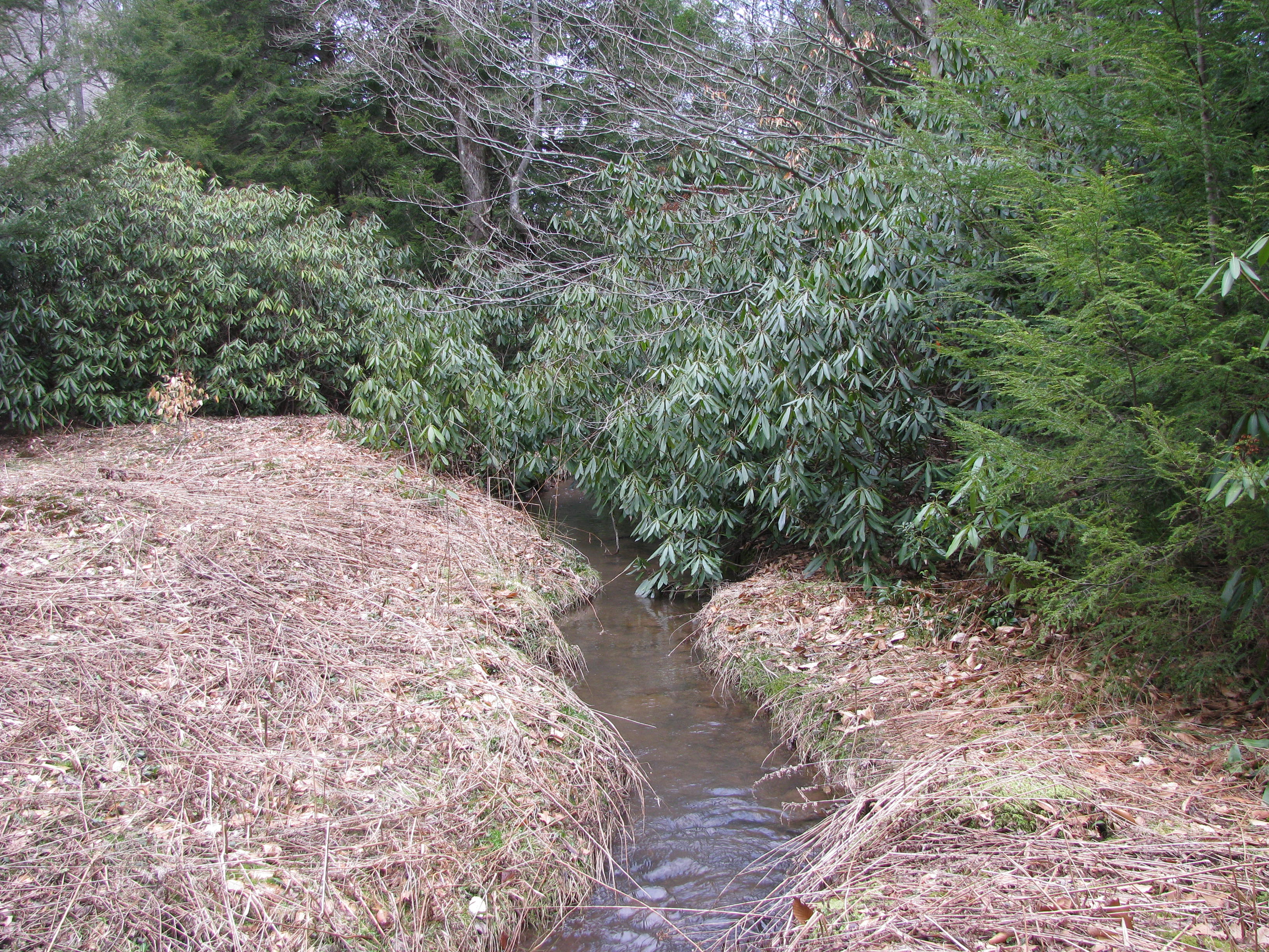 Field photo showing stream conditions at site SAVA-101-D-2012-1
