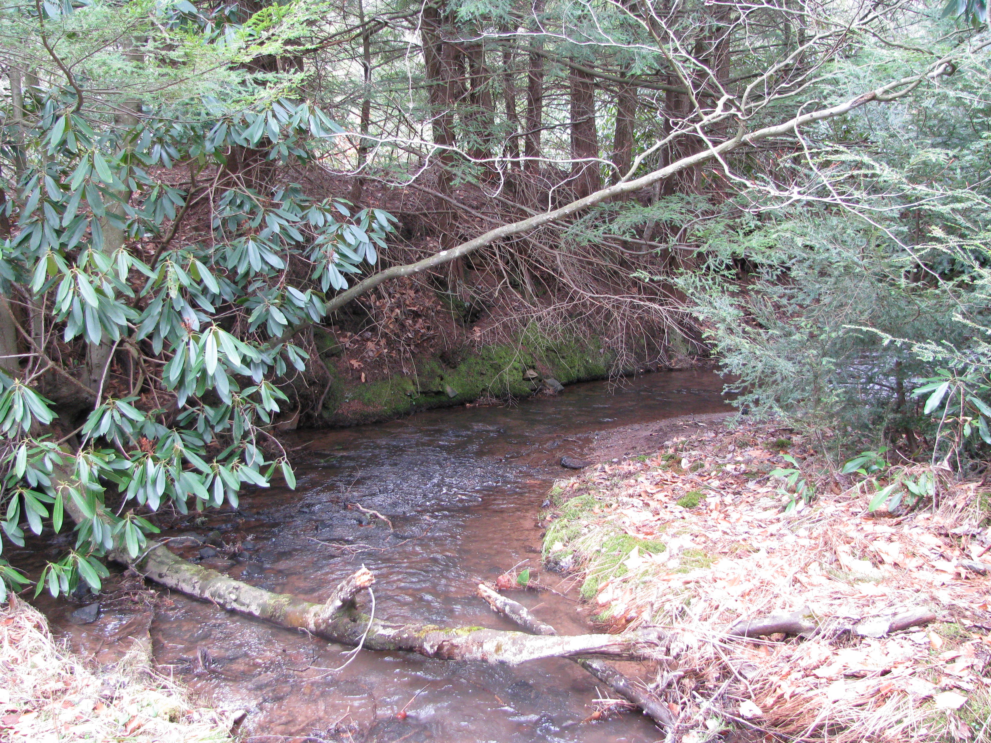 Field photo showing stream conditions at site SAVA-101-D-2012-2