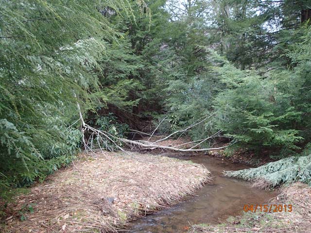 Field photo showing stream conditions at site SAVA-101-D-2013-50mDownstream