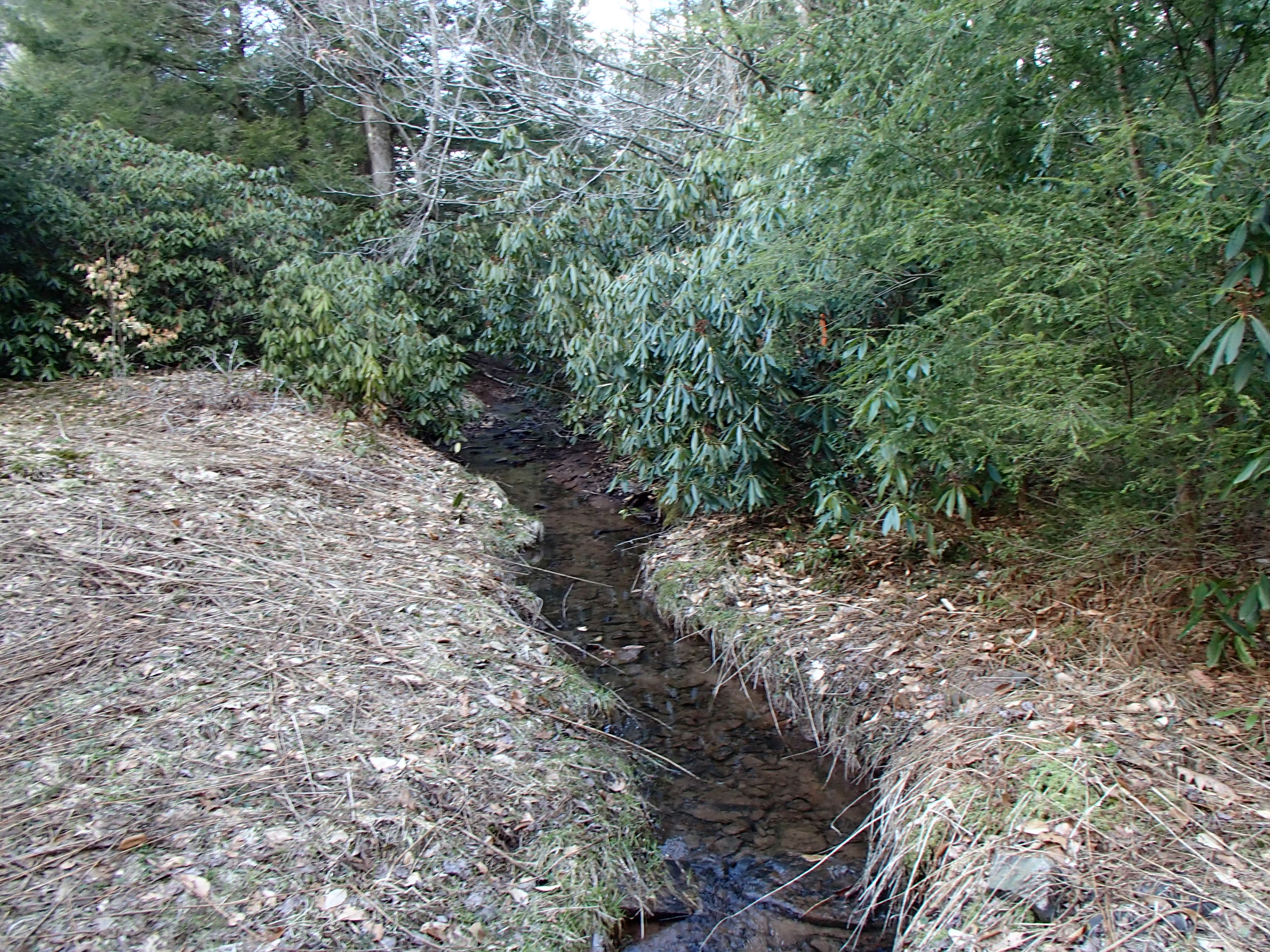 Field photo showing stream conditions at site SAVA-101-D-2014-1