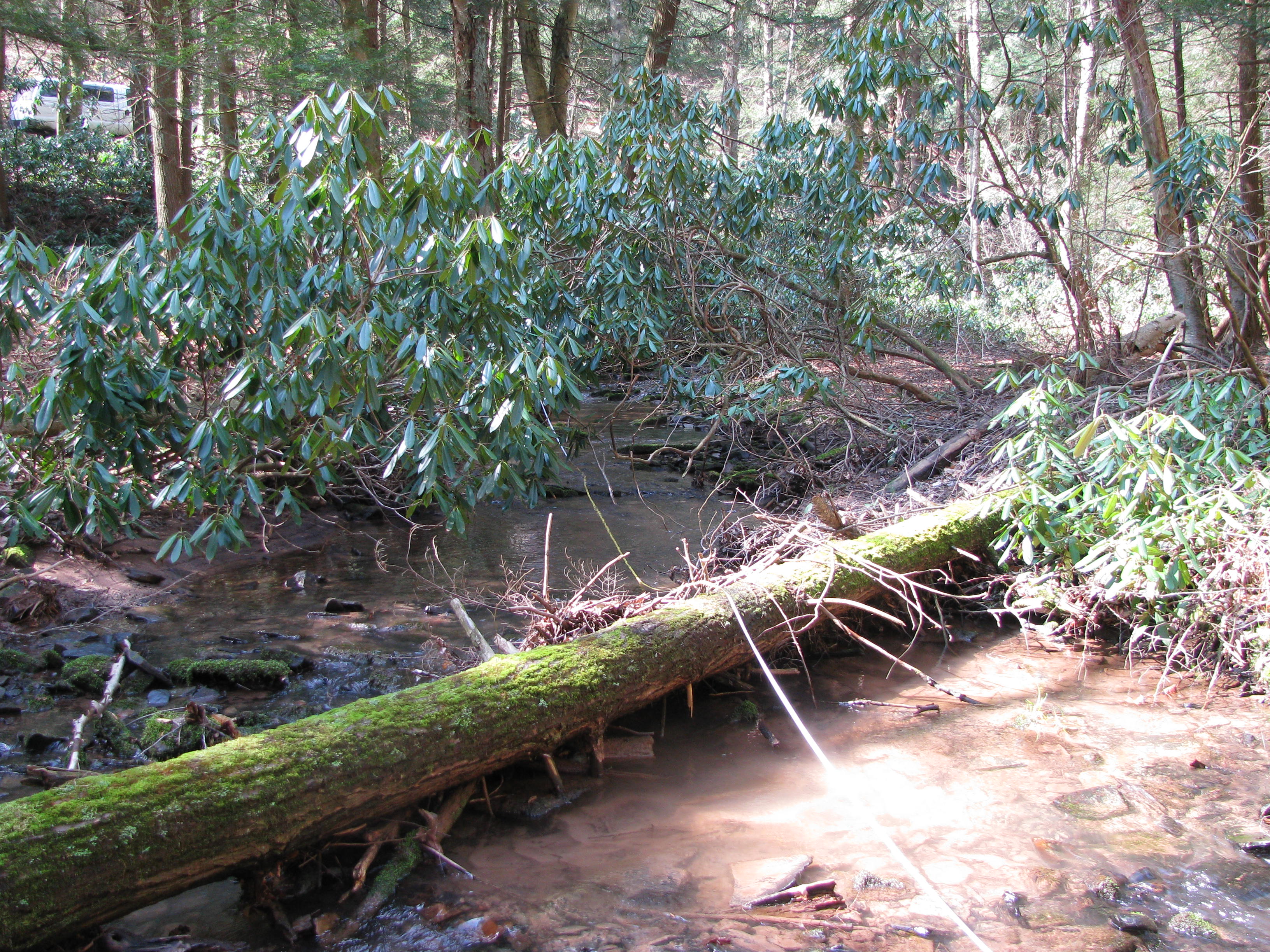 Field photo showing stream conditions at site SAVA-102-H-2012-1