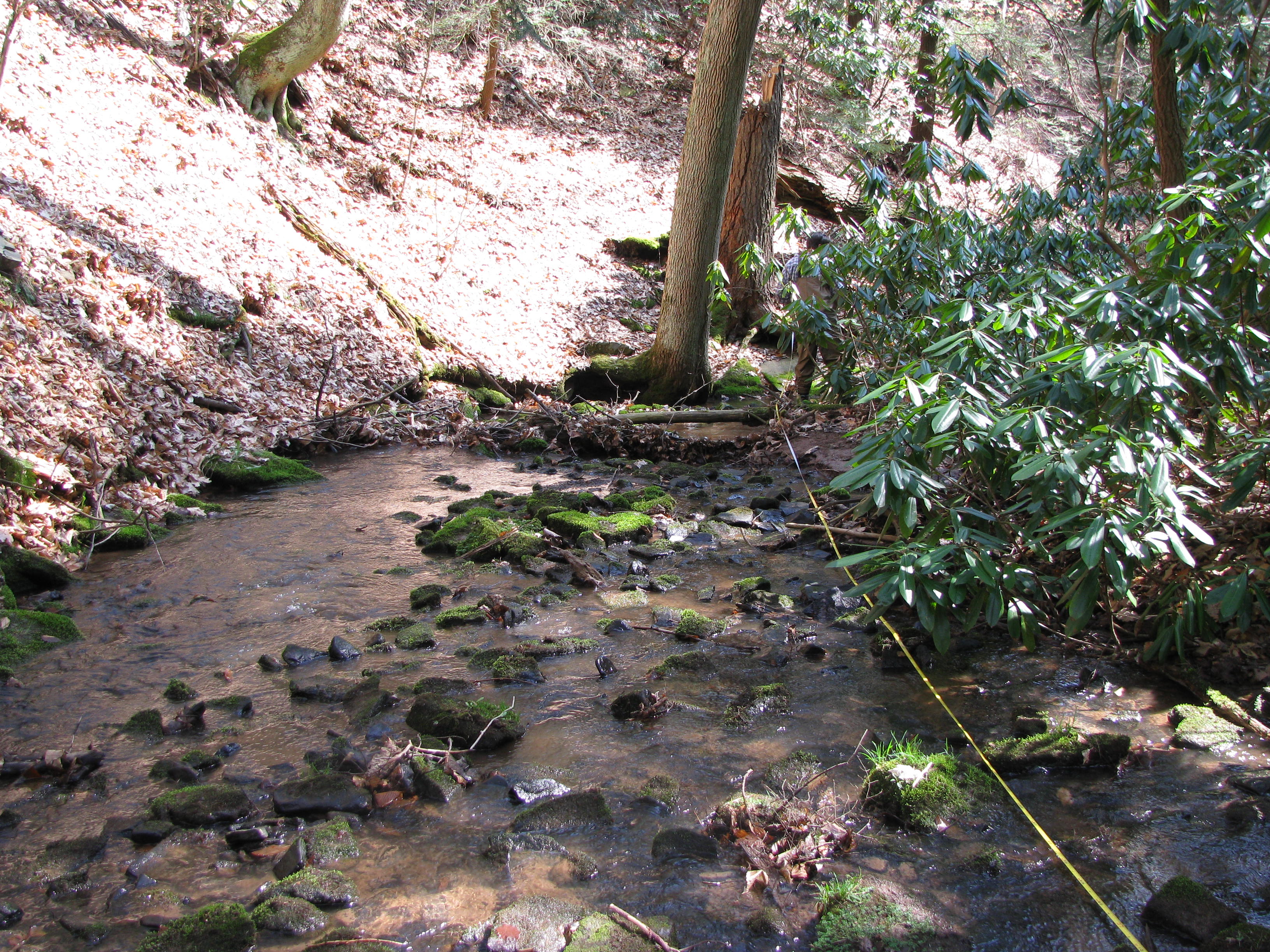 Field photo showing stream conditions at site SAVA-102-H-2012-2