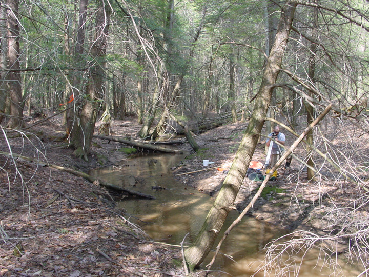 Field photo showing stream conditions at site SAVA-102-R-2007-2