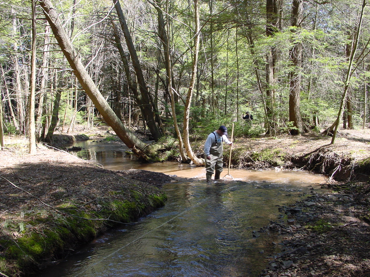 Field photo showing stream conditions at site SAVA-103-R-2002-1