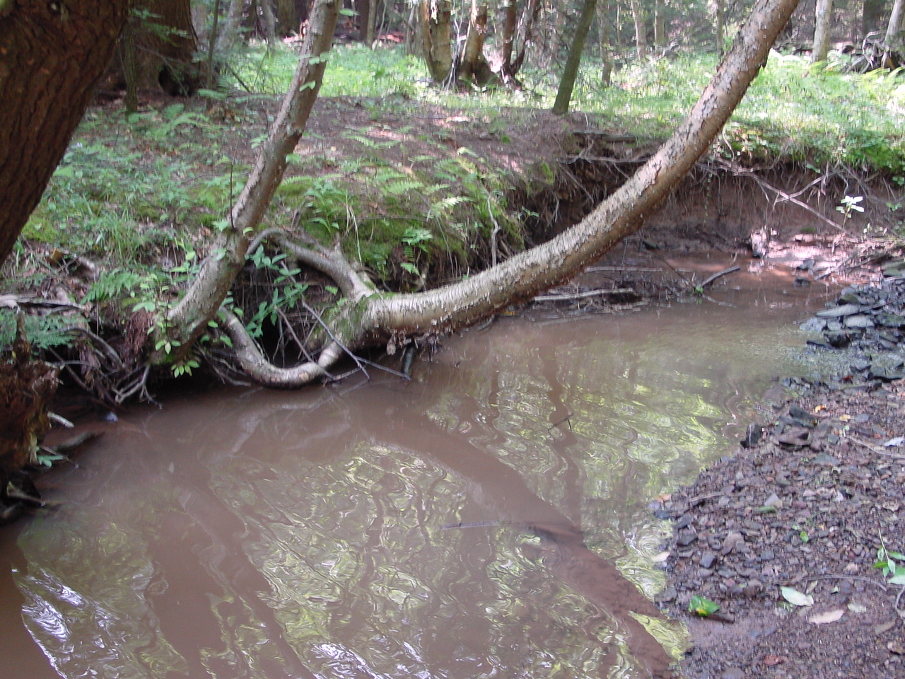 Field photo showing stream conditions at site SAVA-103-R-2002-4