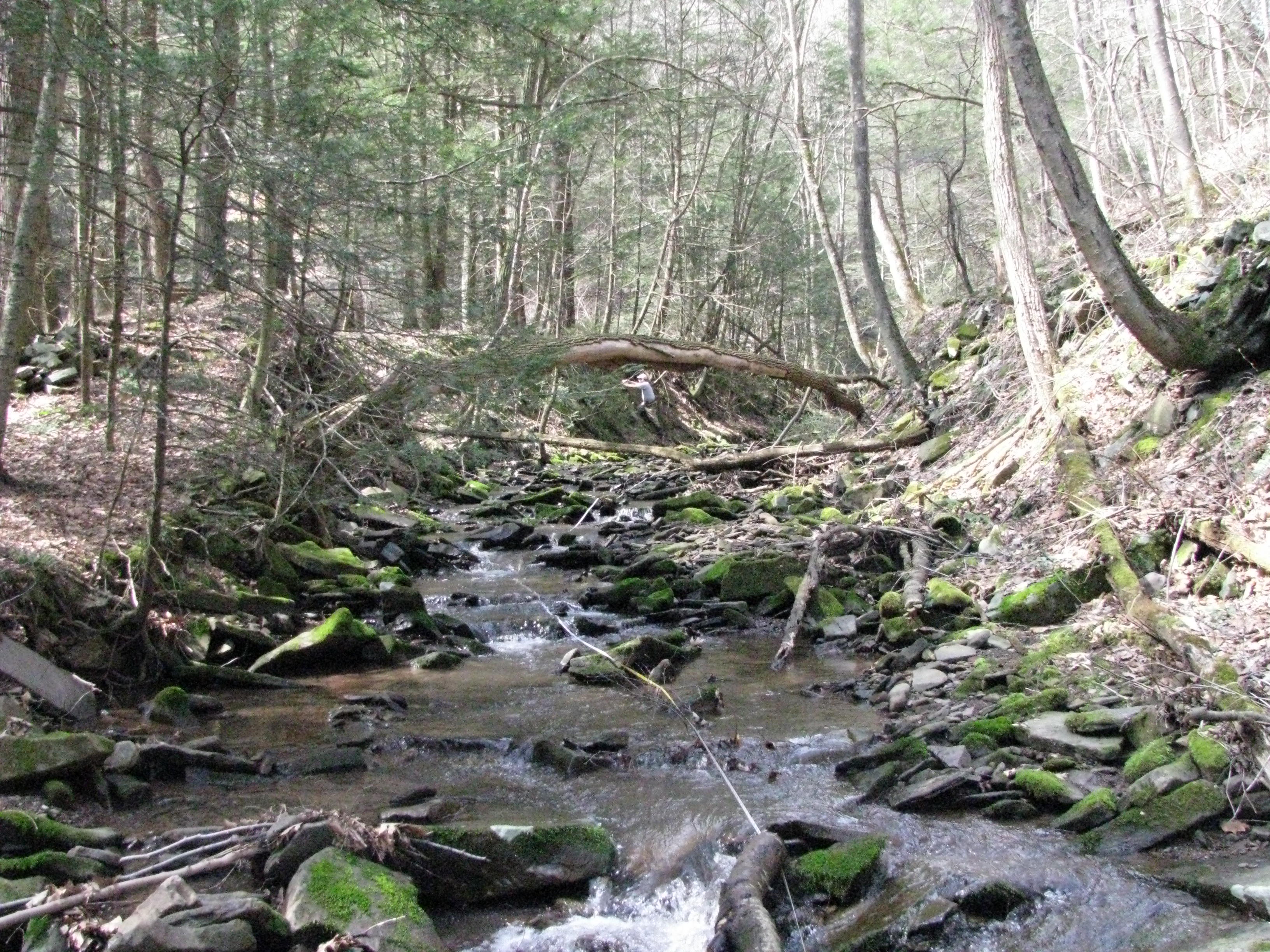 Field photo showing stream conditions at site SAVA-104-H-2012-1