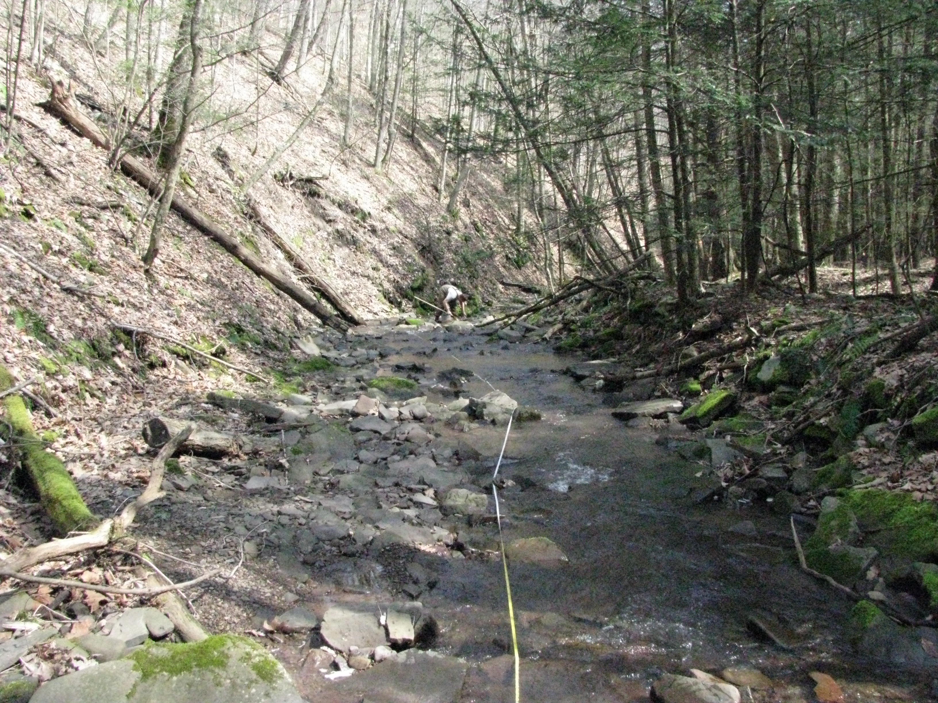 Field photo showing stream conditions at site SAVA-104-H-2012-2