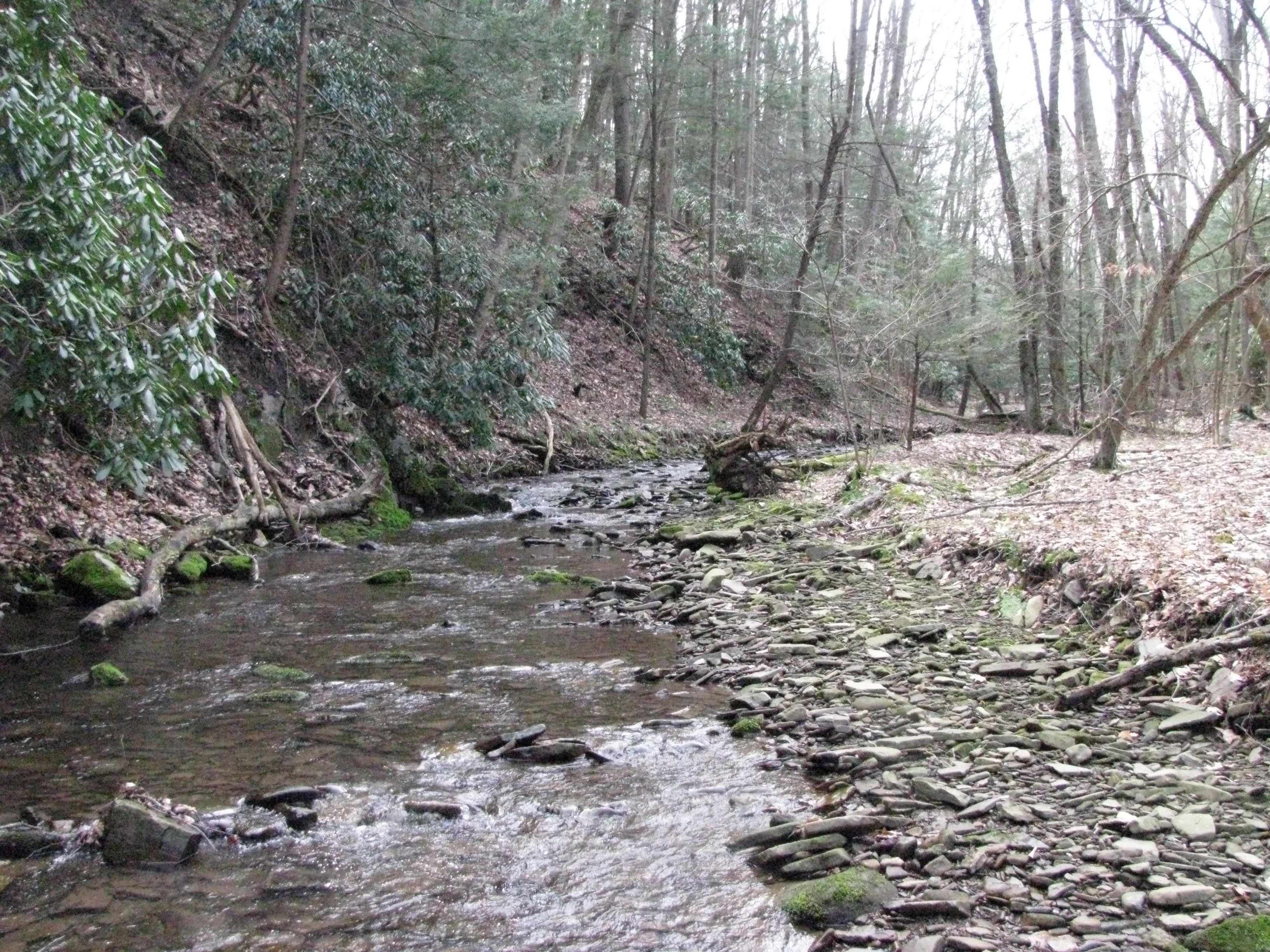 Field photo showing stream conditions at site SAVA-105-H-2012-1