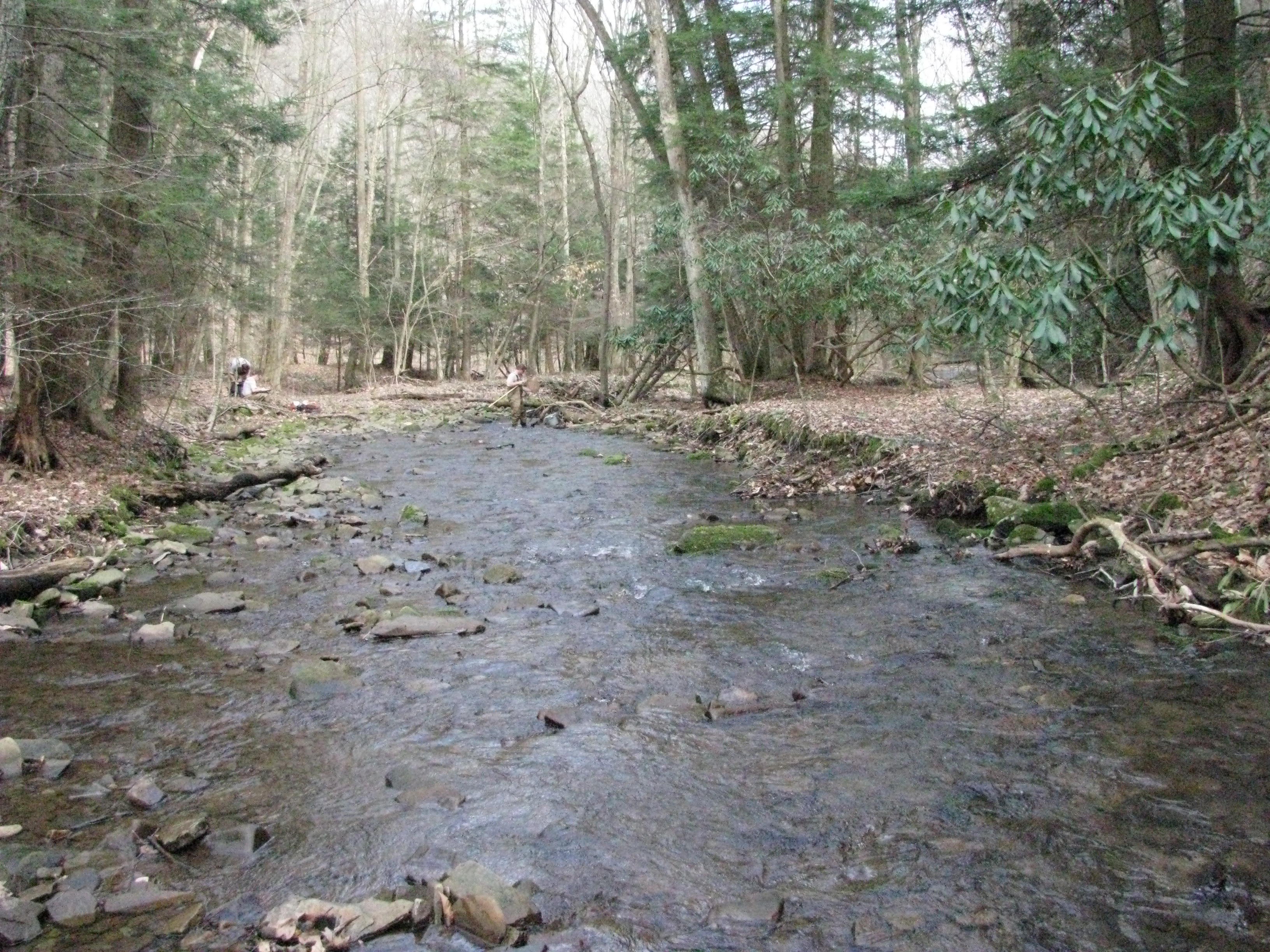 Field photo showing stream conditions at site SAVA-105-H-2012-2
