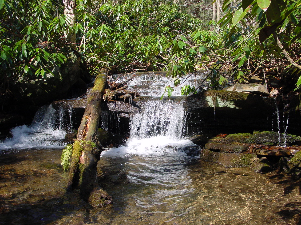 Field photo showing stream conditions at site SAVA-105-R-2002-2