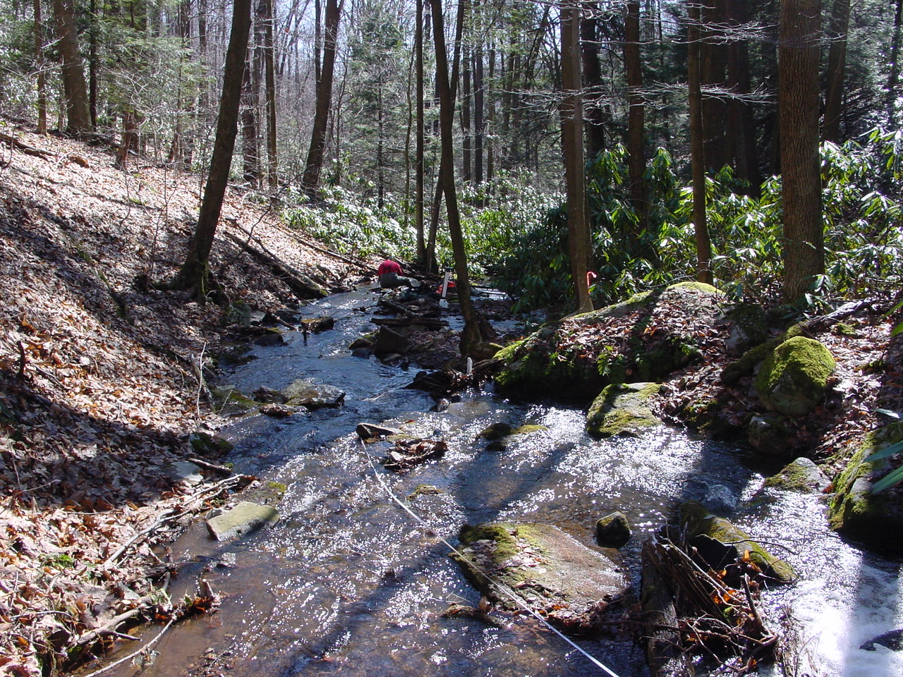Field photo showing stream conditions at site SAVA-105-R-2002-3