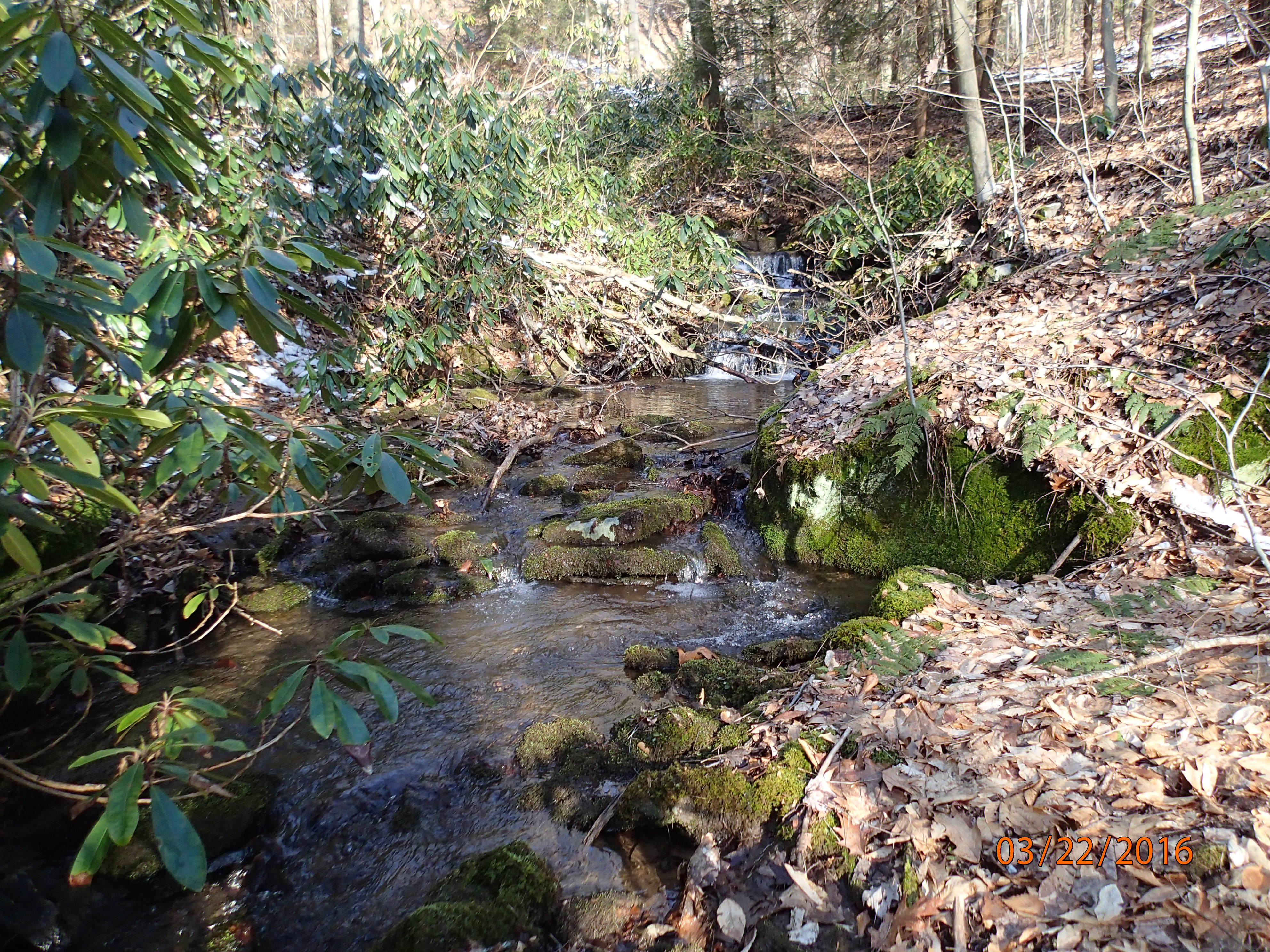 Field photo showing stream conditions at site SAVA-105-R-2016-MidpointUpstream