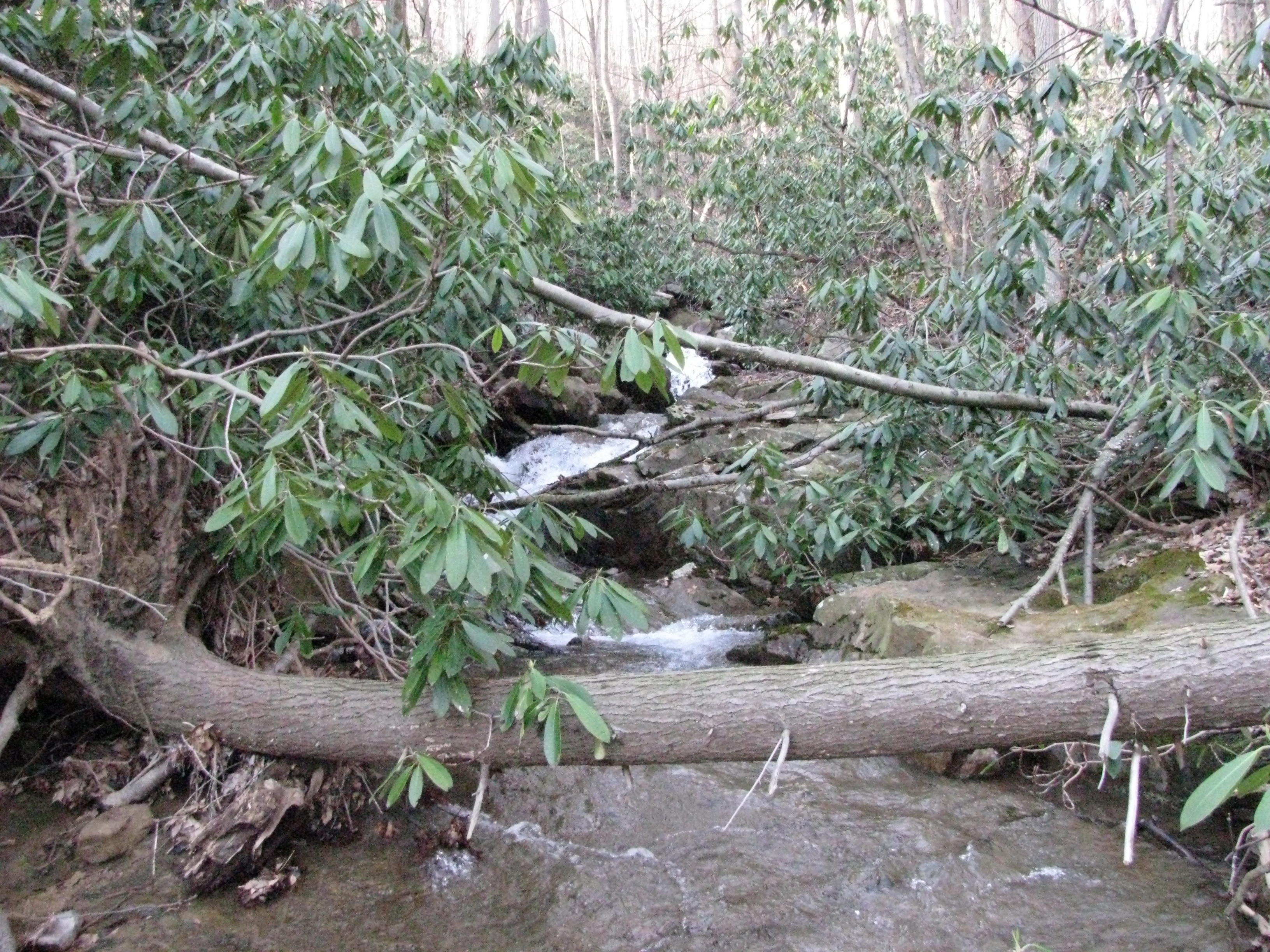 Field photo showing stream conditions at site SAVA-107-H-2012-1