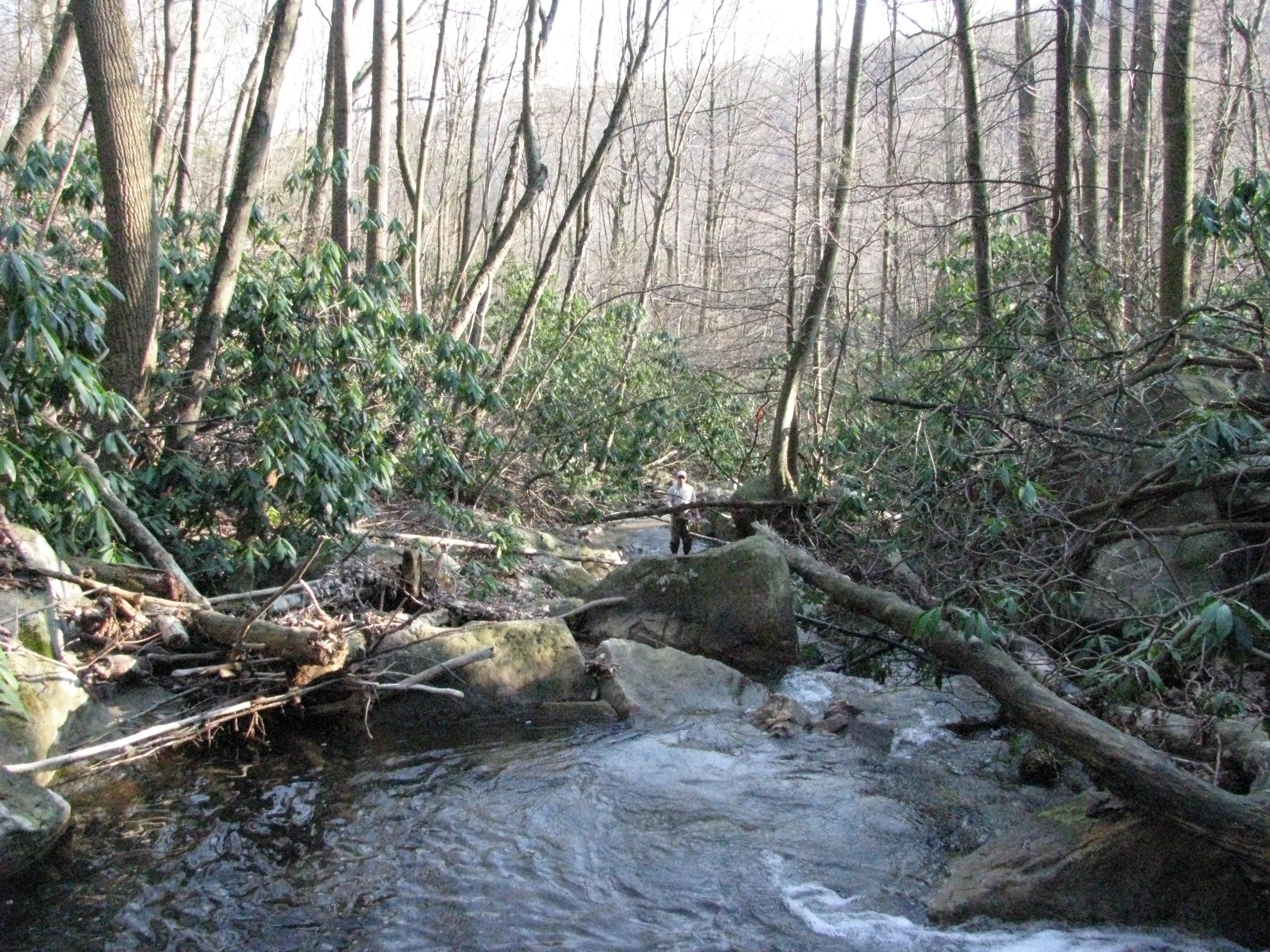 Field photo showing stream conditions at site SAVA-107-H-2012-2