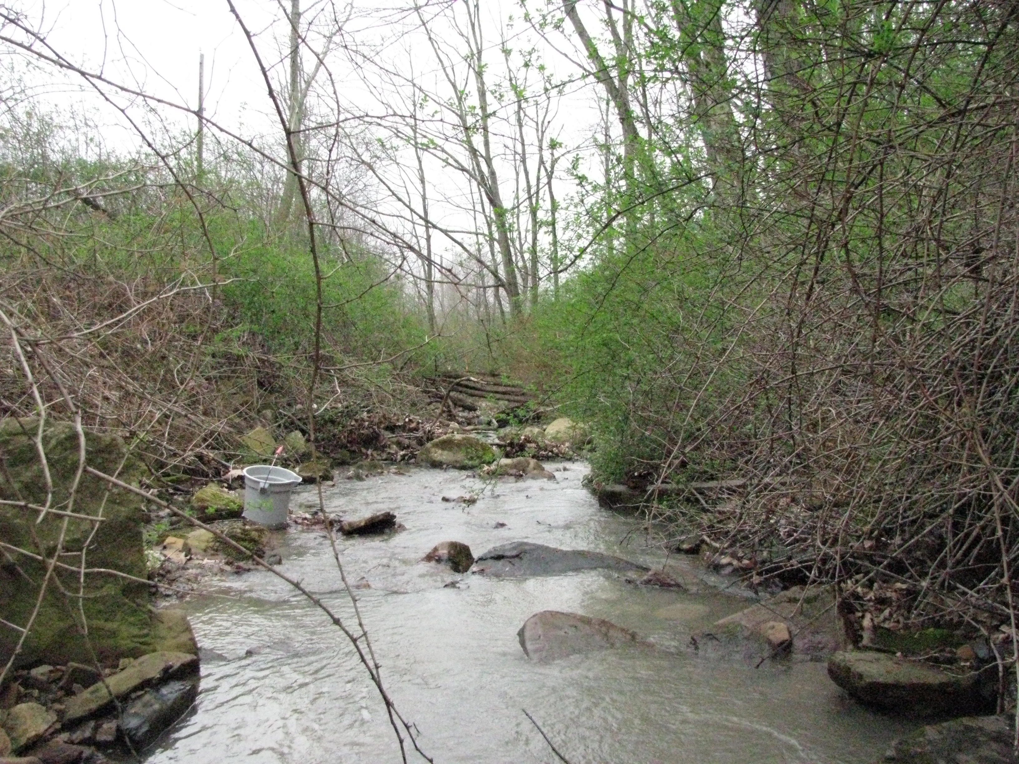 Field photo showing stream conditions at site SAVA-108-H-2012-2