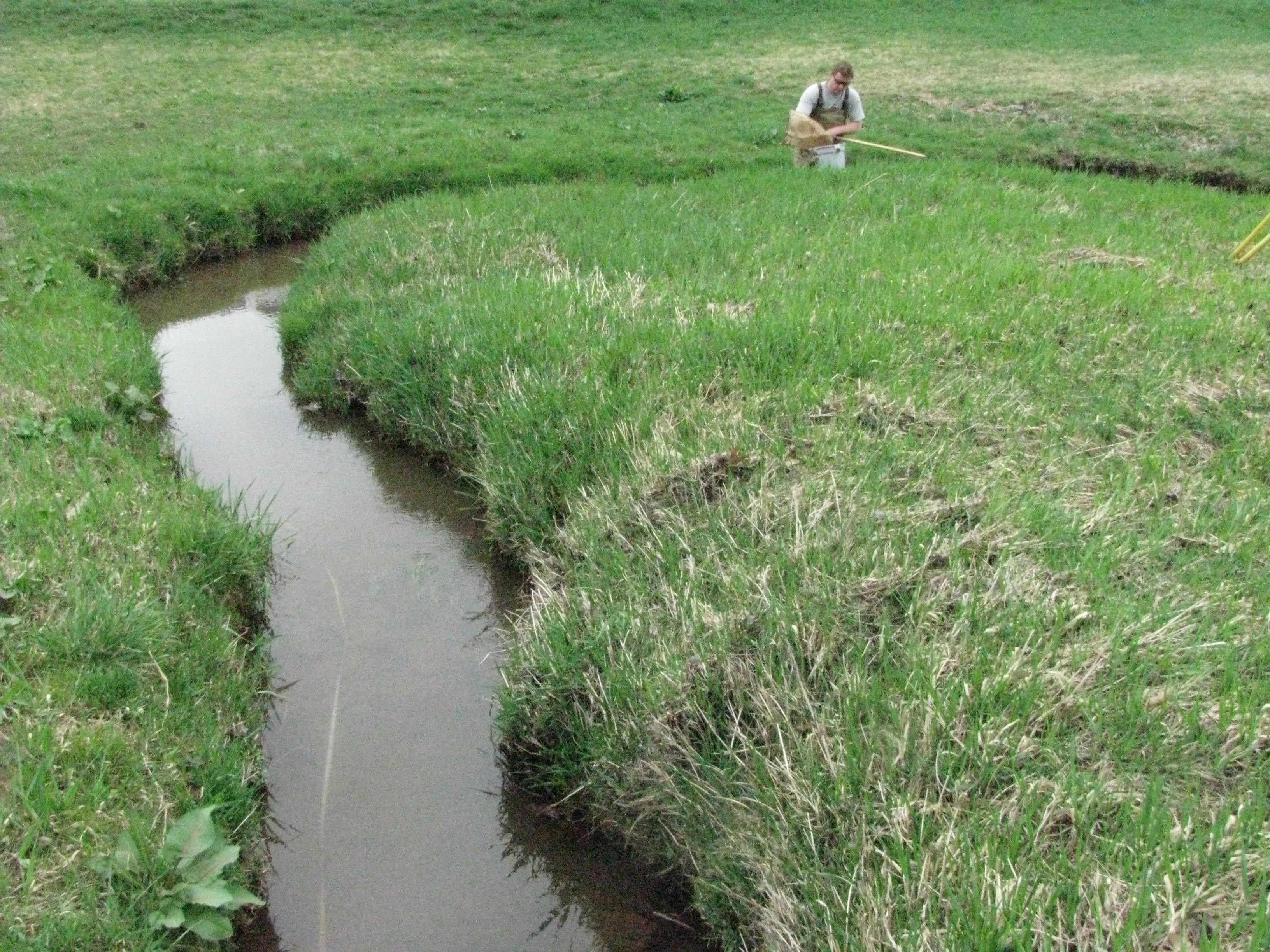 Field photo showing stream conditions at site SAVA-110-H-2012-2