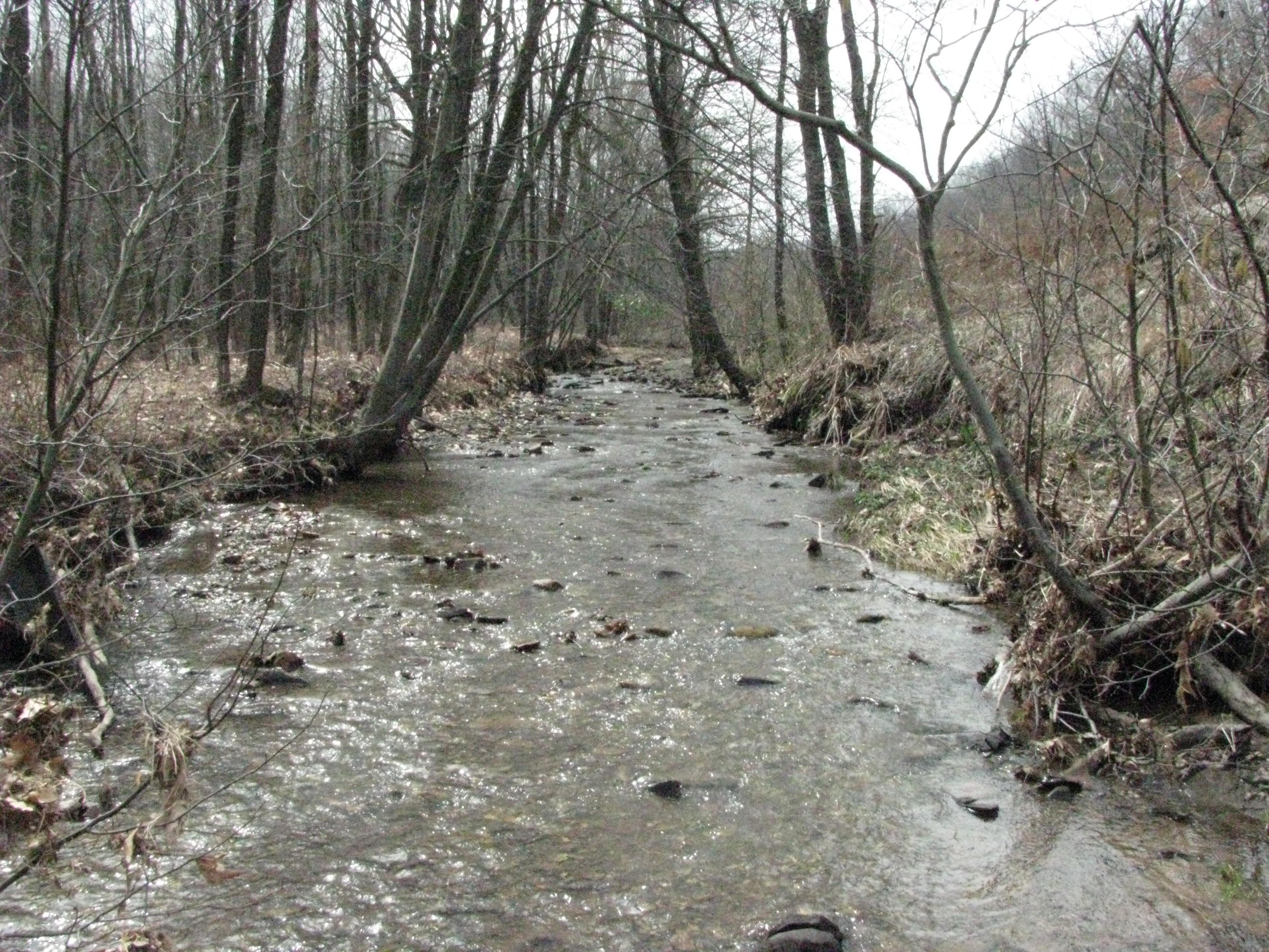 Field photo showing stream conditions at site SAVA-111-H-2012-1