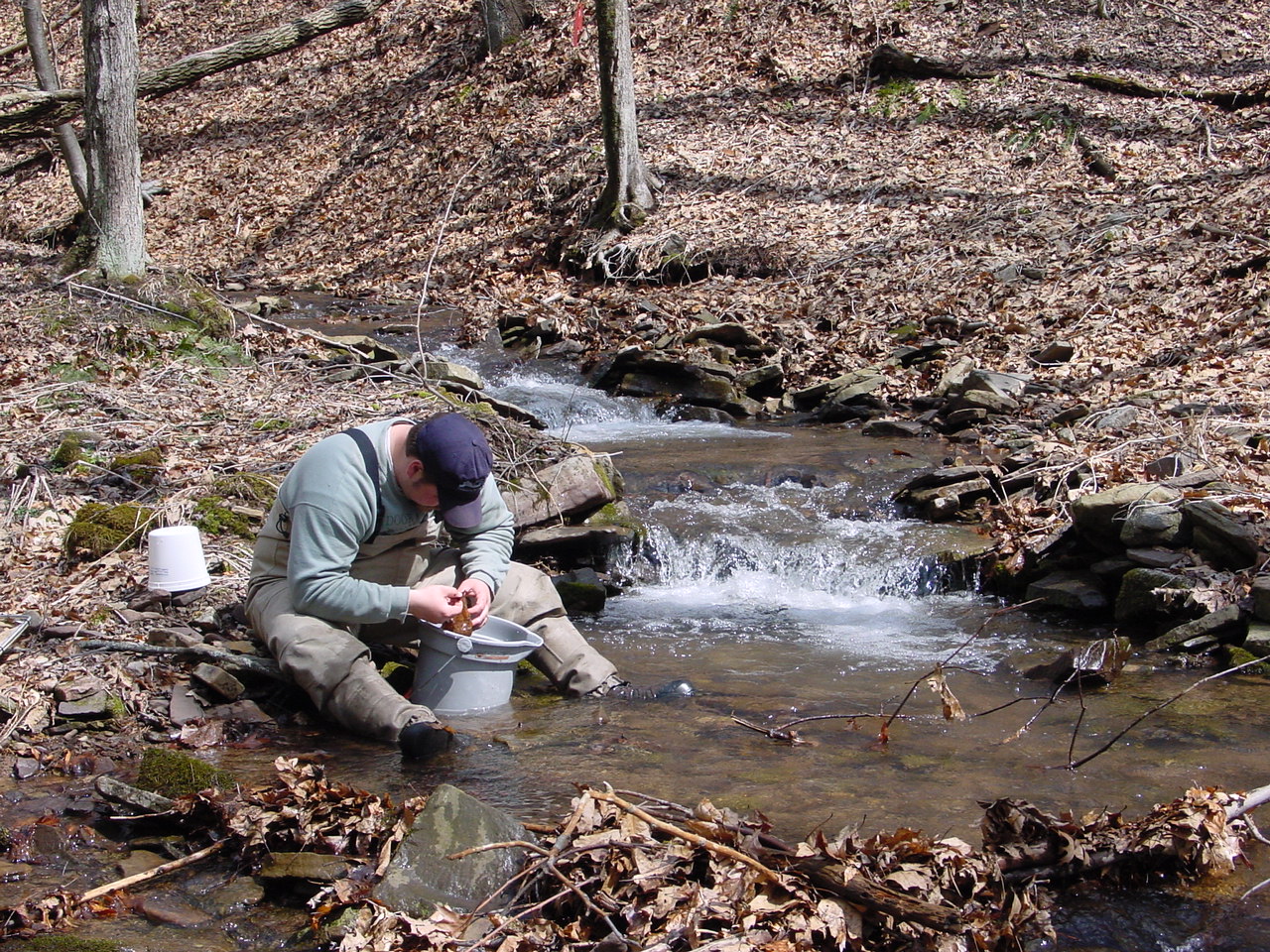 Field photo showing stream conditions at site SAVA-116-R-2002-1