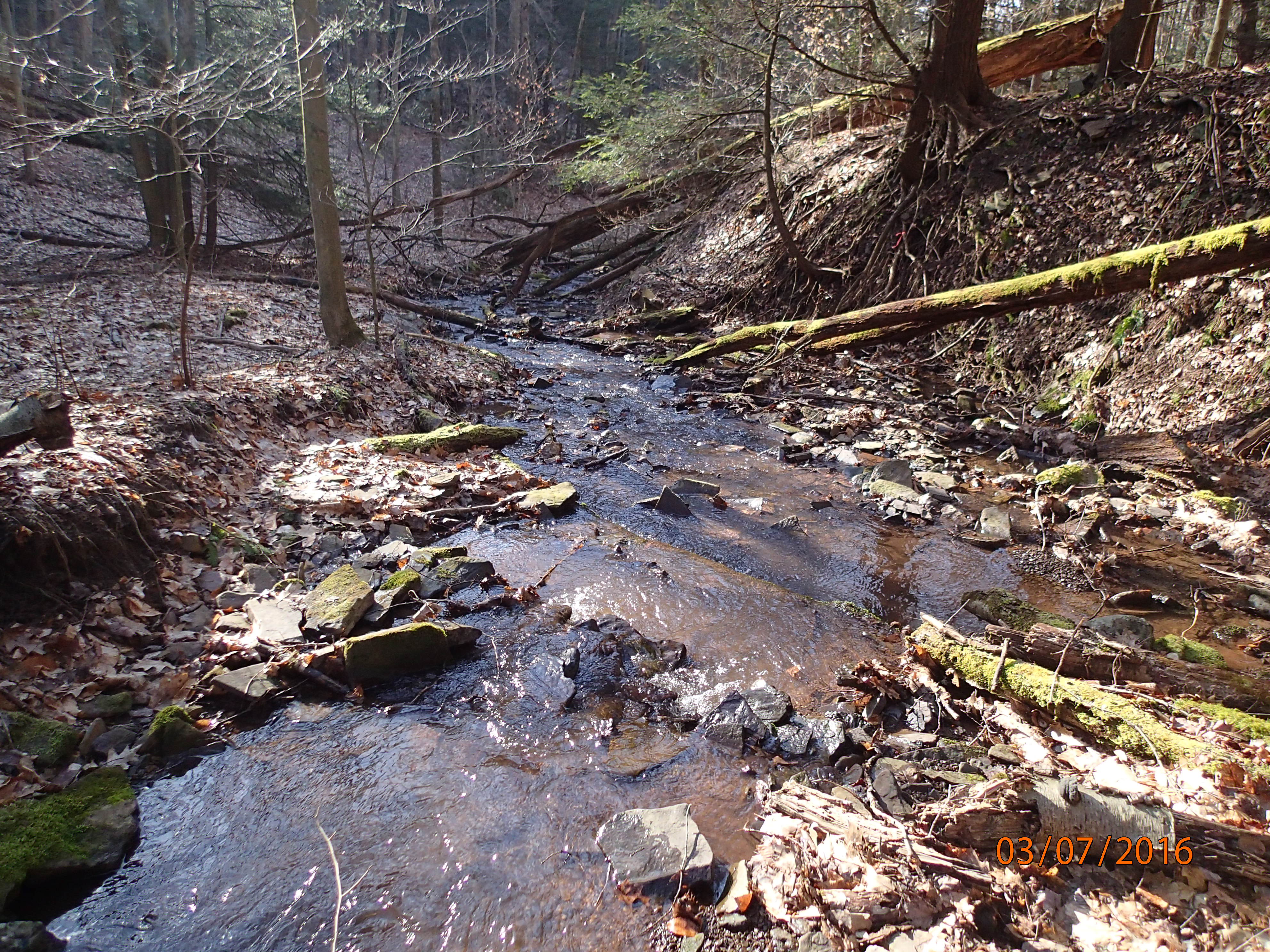 Field photo showing stream conditions at site SAVA-116-R-2016-MidpointDownstream