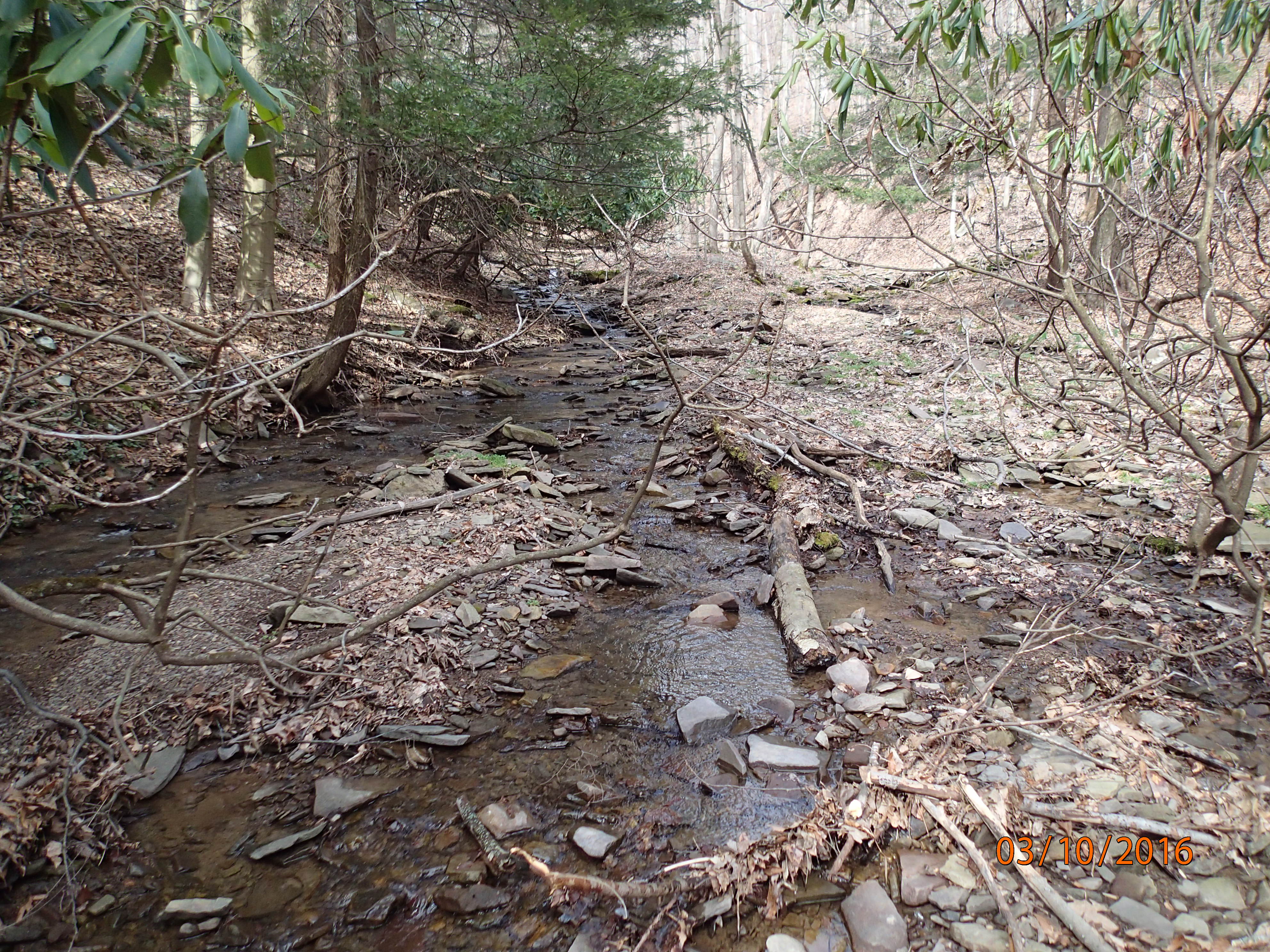 Field photo showing stream conditions at site SAVA-119-R-2016-MidpointUpstream