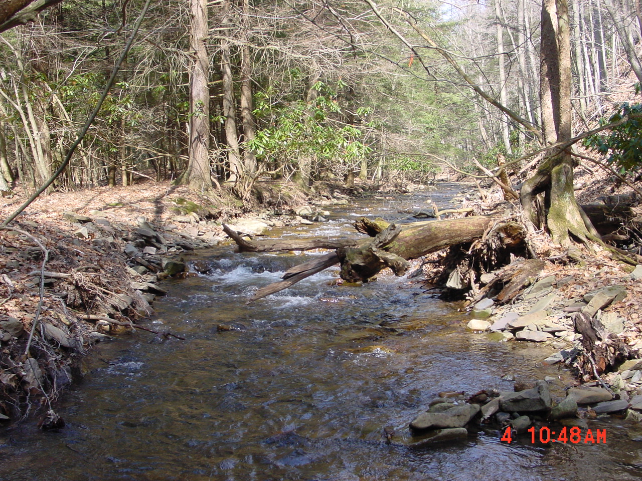 Field photo showing stream conditions at site SAVA-159-S-2001-1