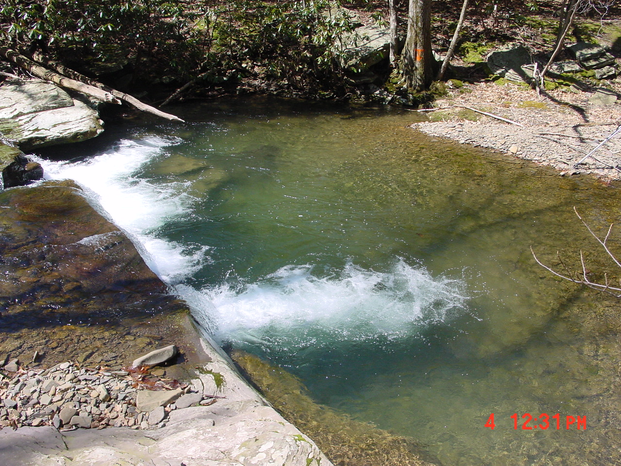 Field photo showing stream conditions at site SAVA-159-S-2001-2