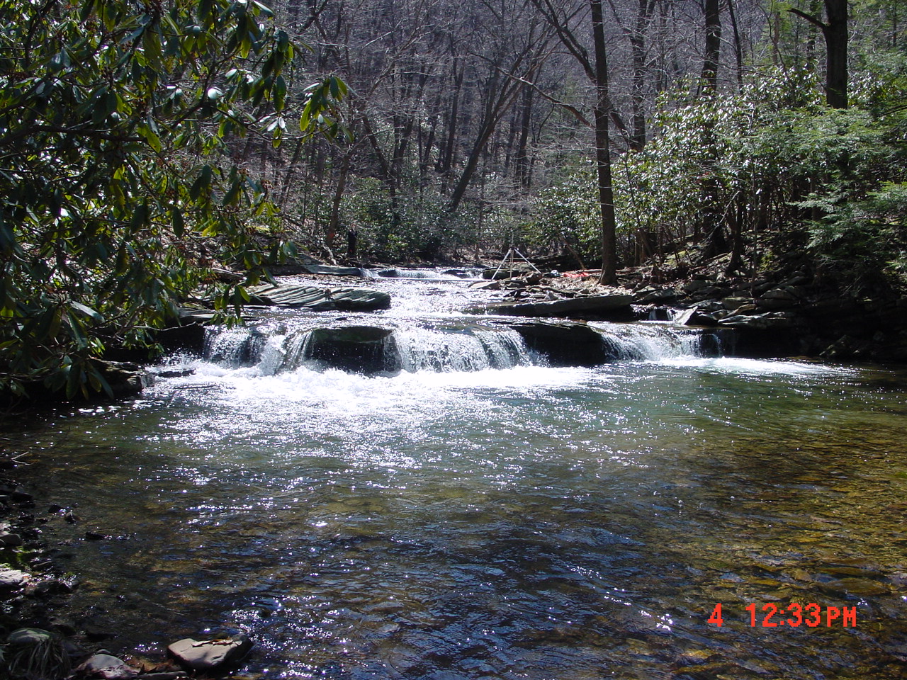 Field photo showing stream conditions at site SAVA-159-S-2001-3