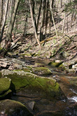 Field photo showing stream conditions at site SAVA-191-A-2012_Mid-point_Downstream