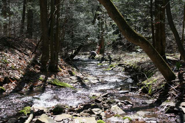 Field photo showing stream conditions at site SAVA-192-A-2012_Mid-pointDownstream