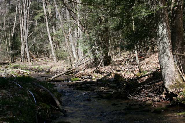 Field photo showing stream conditions at site SAVA-192-A-2012_Mid-pointUpstream