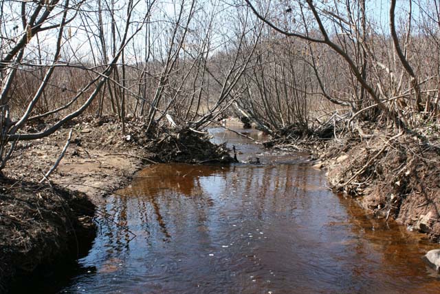 Field photo showing stream conditions at site SAVA-193-A-2012-45mdownstream