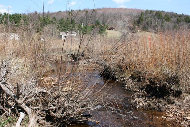 Field photo showing stream conditions at site SAVA-193-A-2012-45mupstream