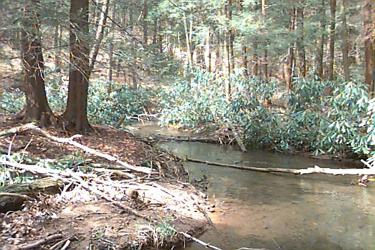 Field photo showing stream conditions at site SAVA-202-C-2000-01