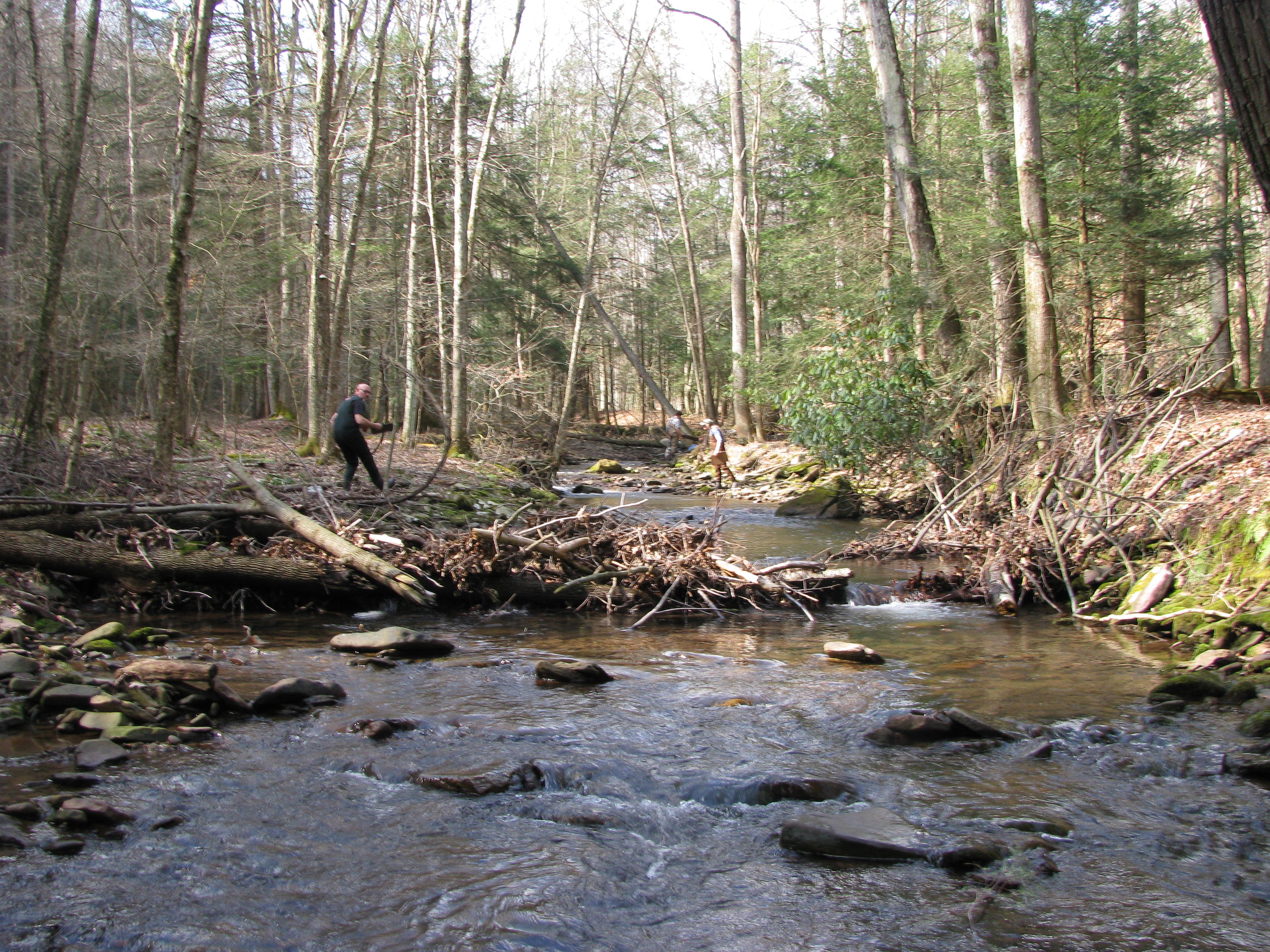 Field photo showing stream conditions at site SAVA-202-D-2012-1
