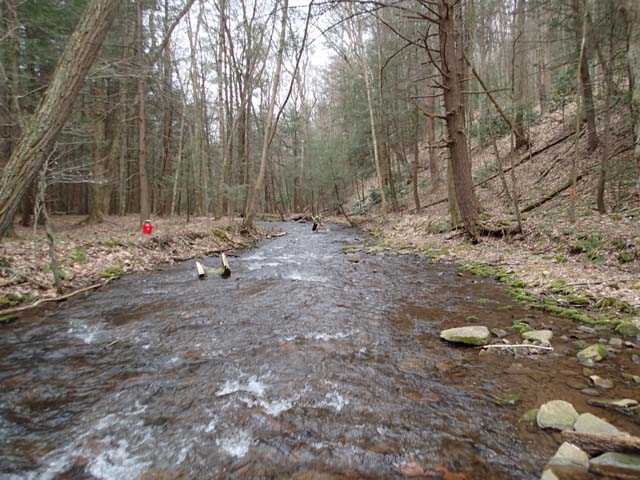 Field photo showing stream conditions at site SAVA-202-D-2013-MidpointDownstream