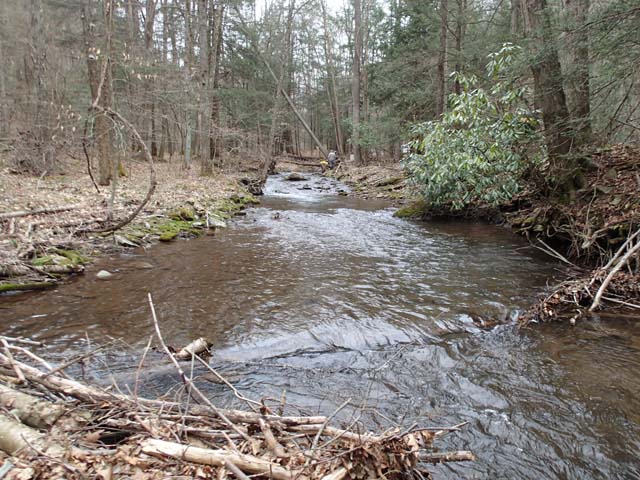 Field photo showing stream conditions at site SAVA-202-D-2013-MidpointUpstream