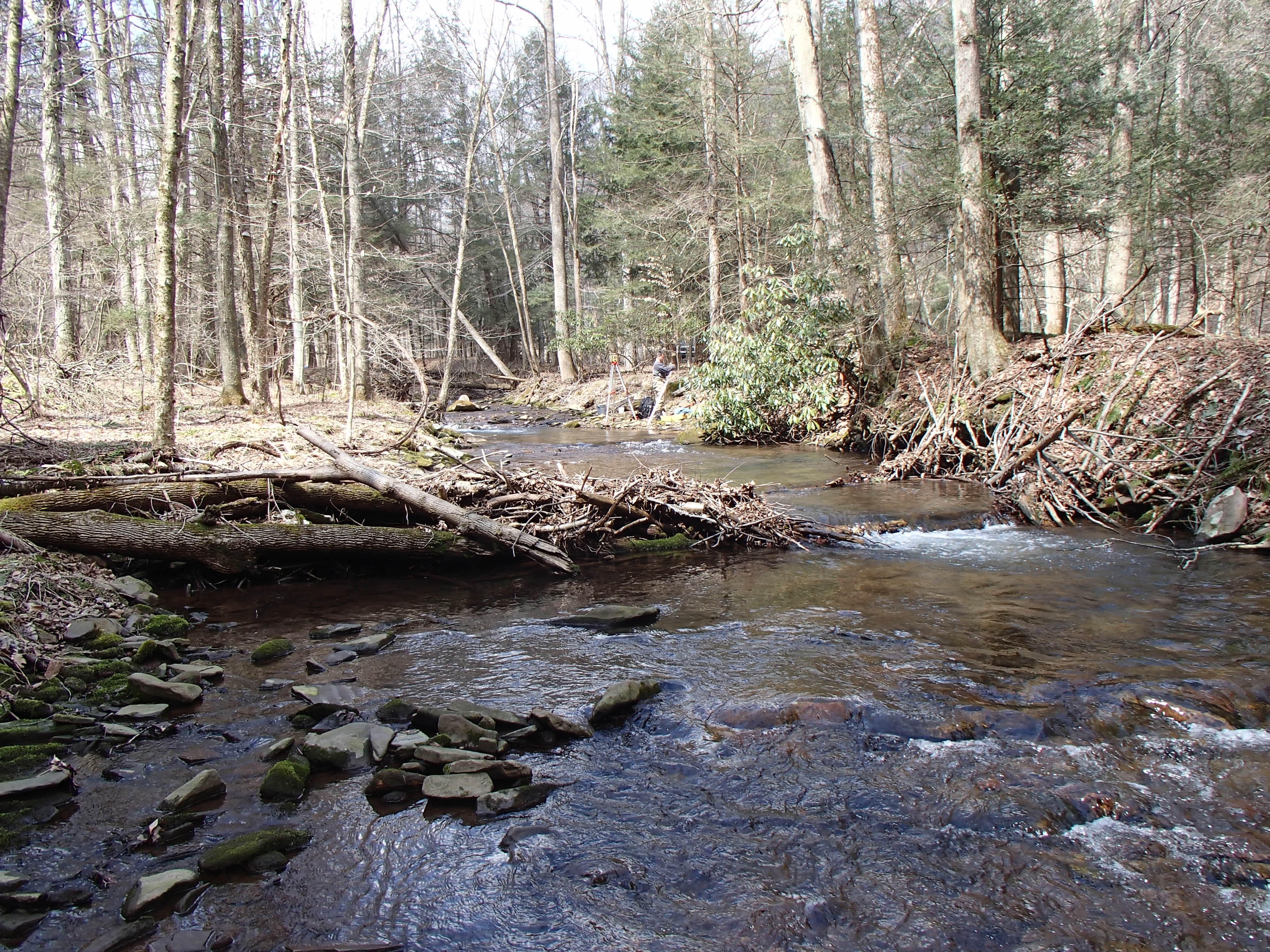 Field photo showing stream conditions at site SAVA-202-D-2014-1