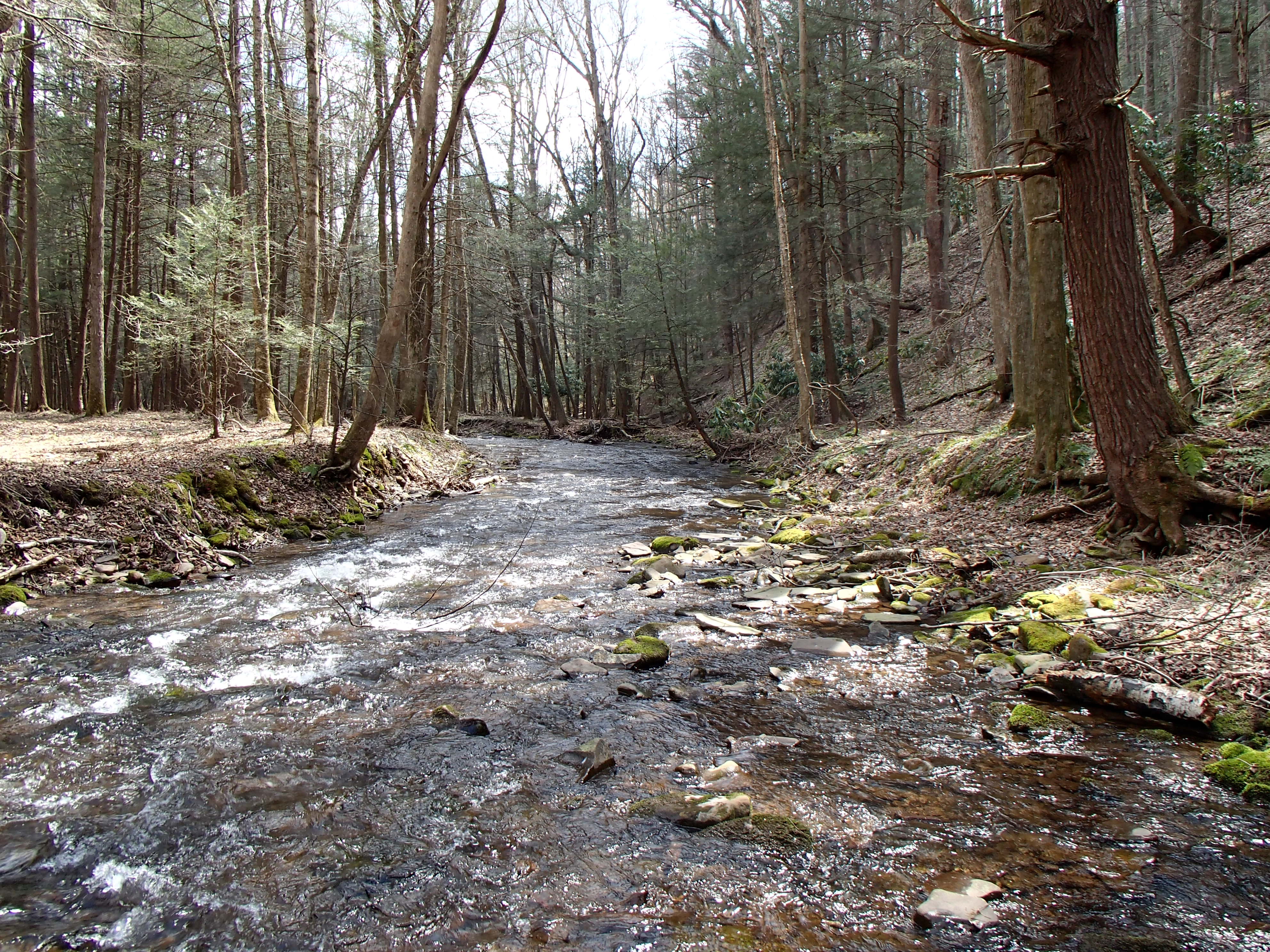Field photo showing stream conditions at site SAVA-202-D-2014-2