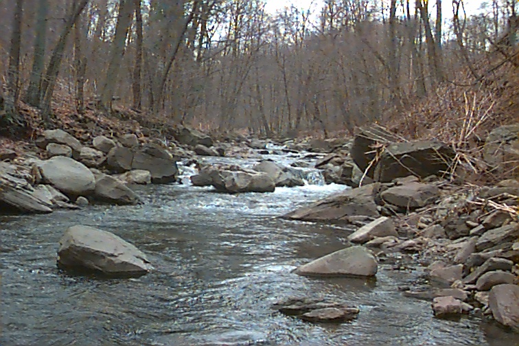 Field photo showing stream conditions at site SAVA-204-C-2000-01