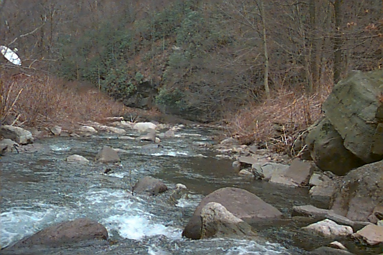 Field photo showing stream conditions at site SAVA-204-C-2000-02