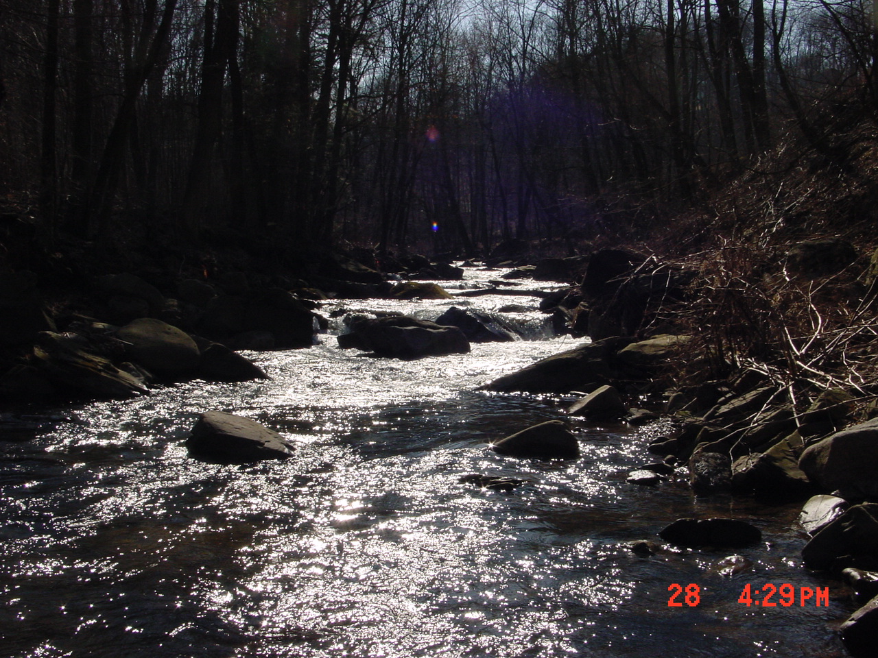 Field photo showing stream conditions at site SAVA-204-C-2001-1