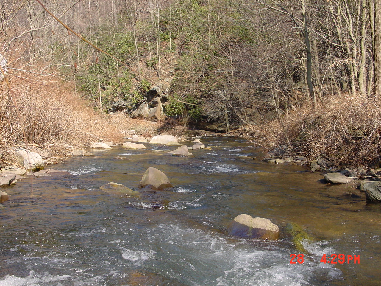 Field photo showing stream conditions at site SAVA-204-C-2001-2
