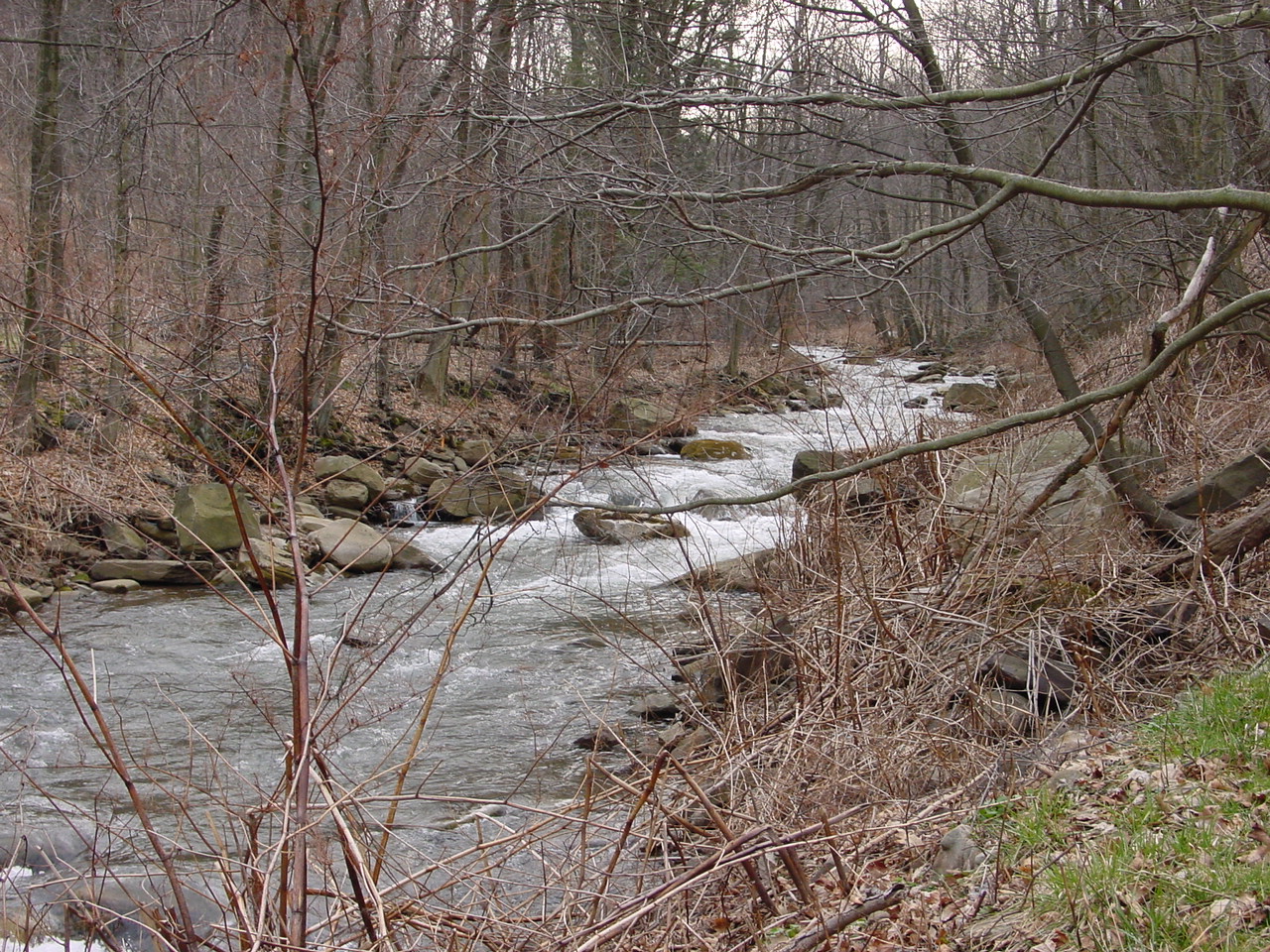 Field photo showing stream conditions at site SAVA-204-S-2002-1