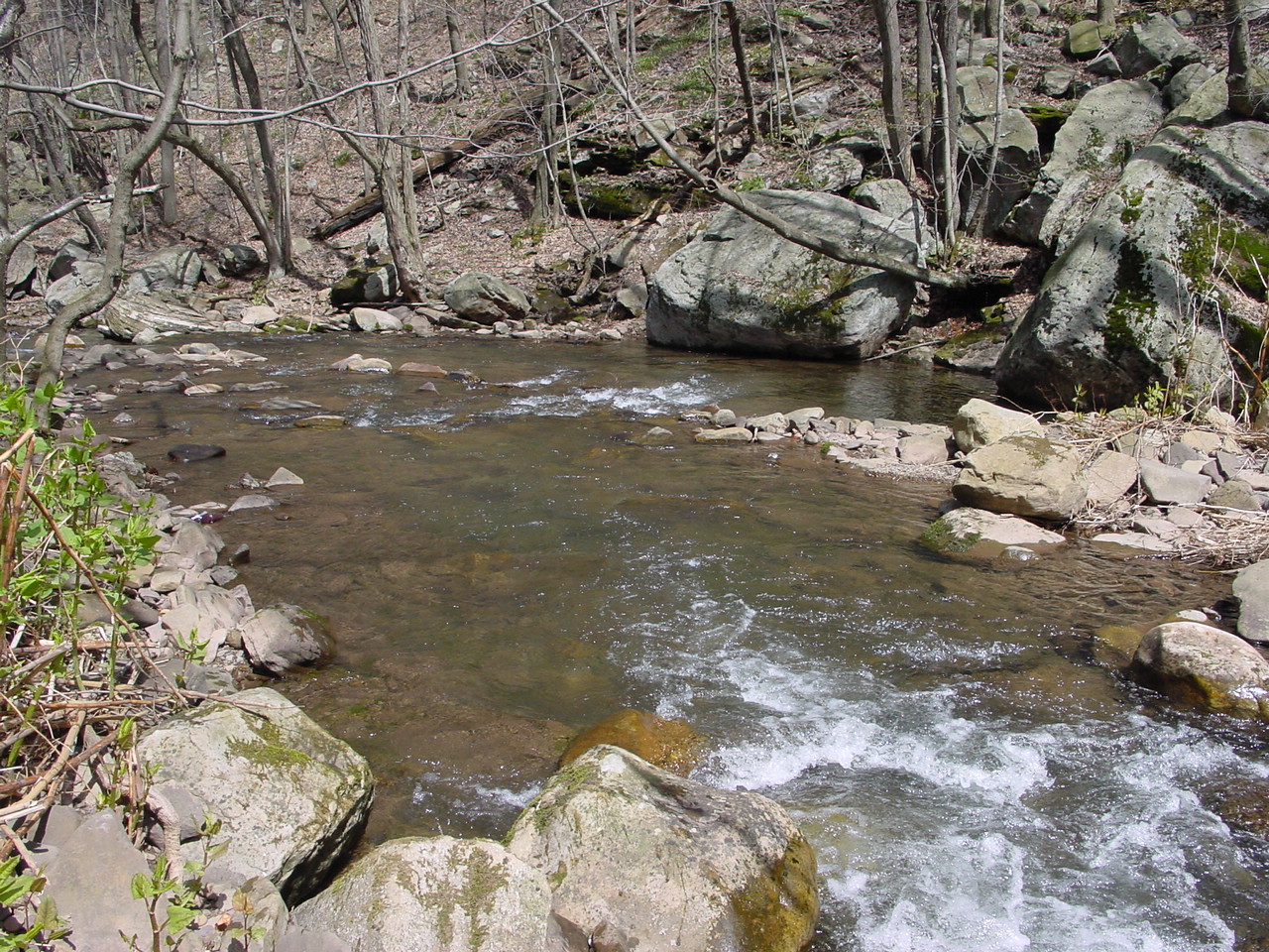 Field photo showing stream conditions at site SAVA-204-S-2003-1