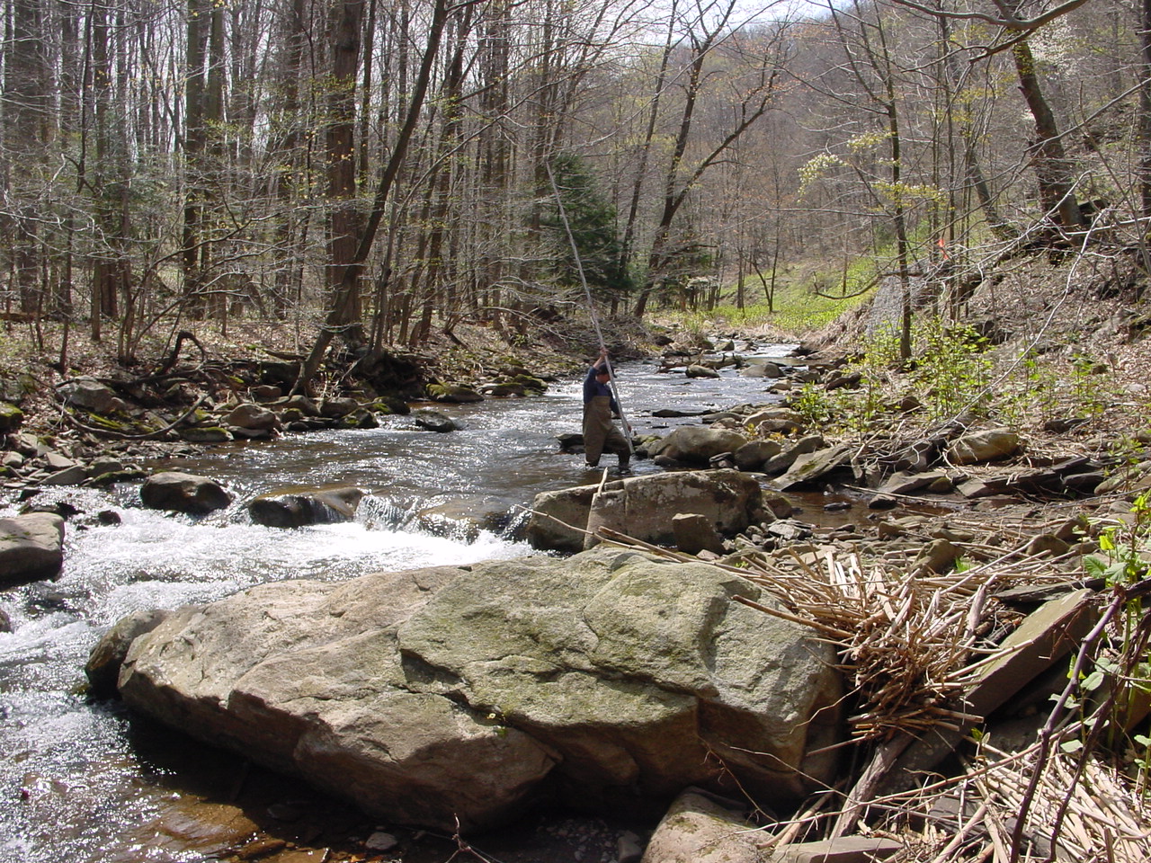Field photo showing stream conditions at site SAVA-204-S-2003-3