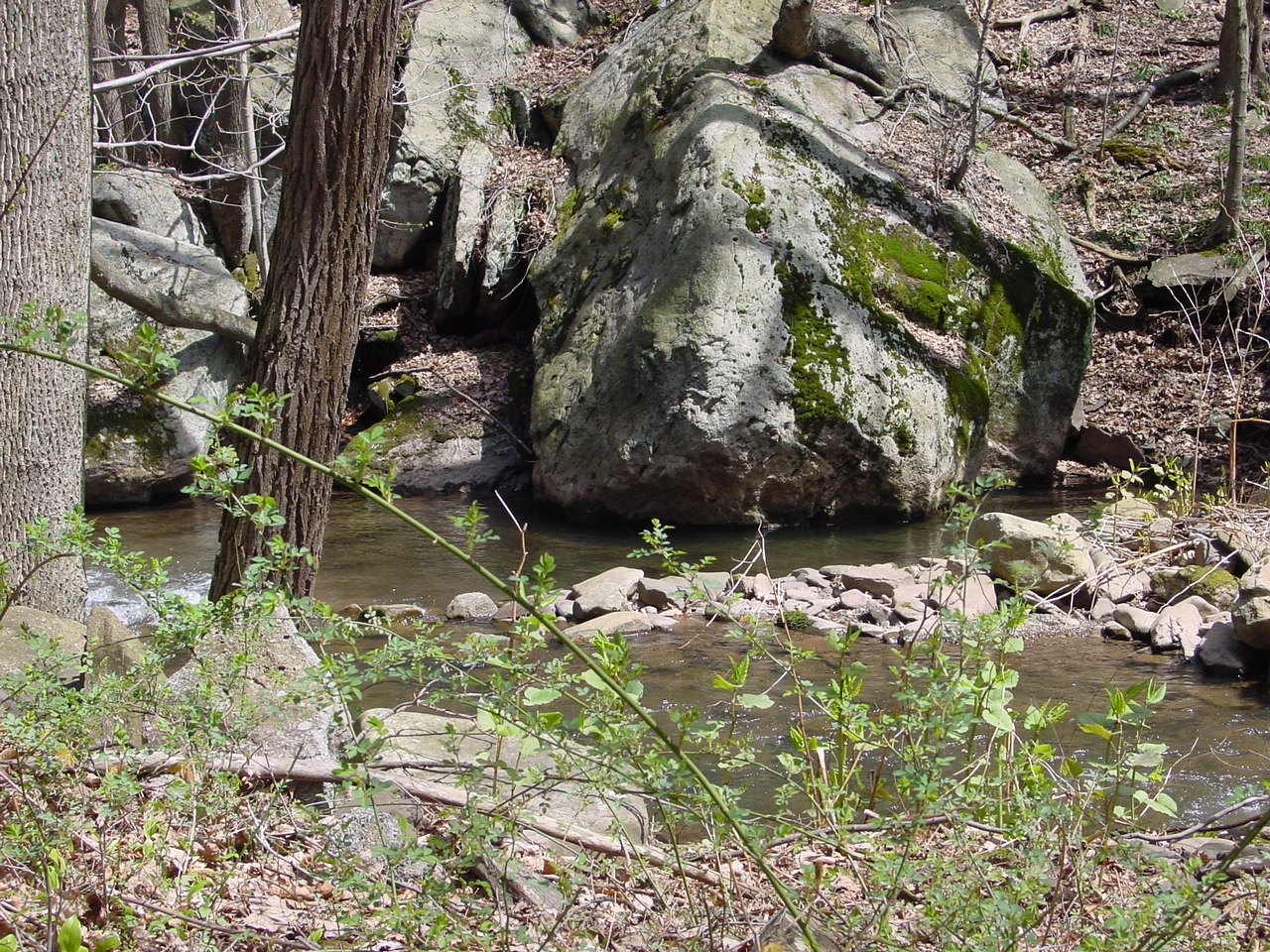 Field photo showing stream conditions at site SAVA-204-S-2003-4