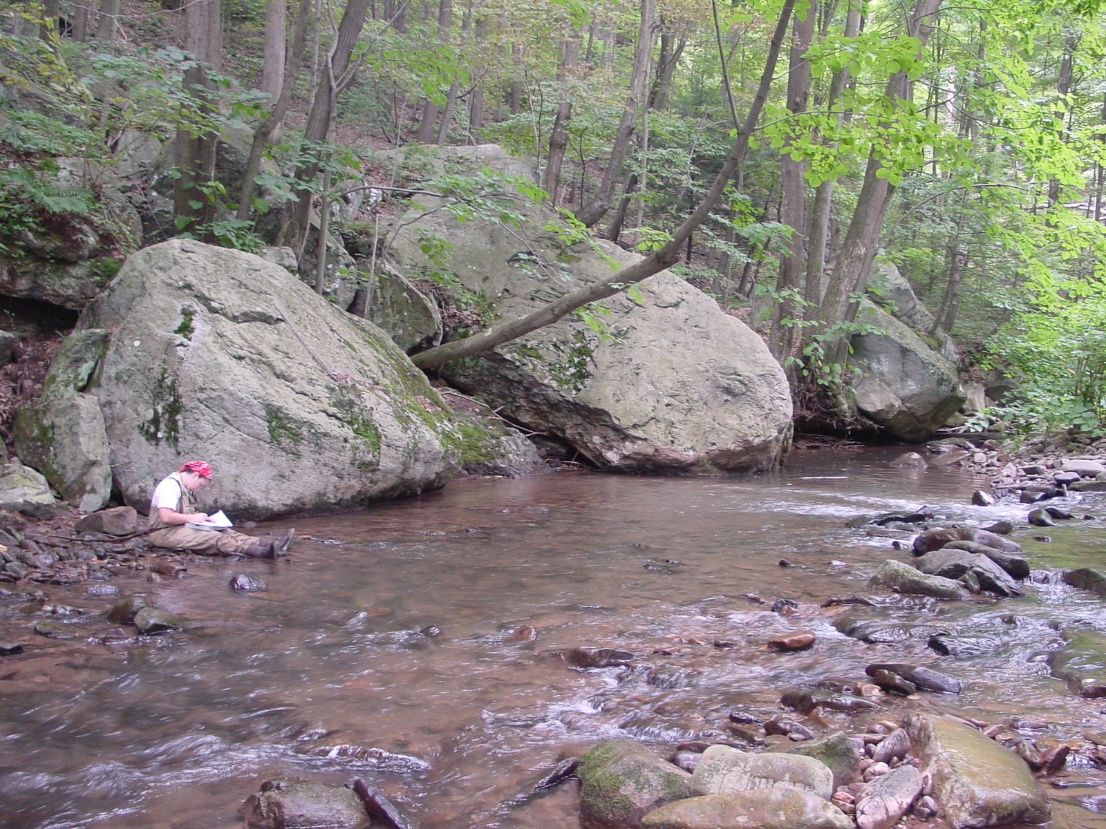 Field photo showing stream conditions at site SAVA-204-S-2003-5