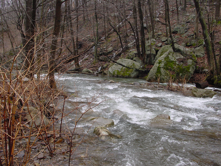 Field photo showing stream conditions at site SAVA-204-S-2007-1