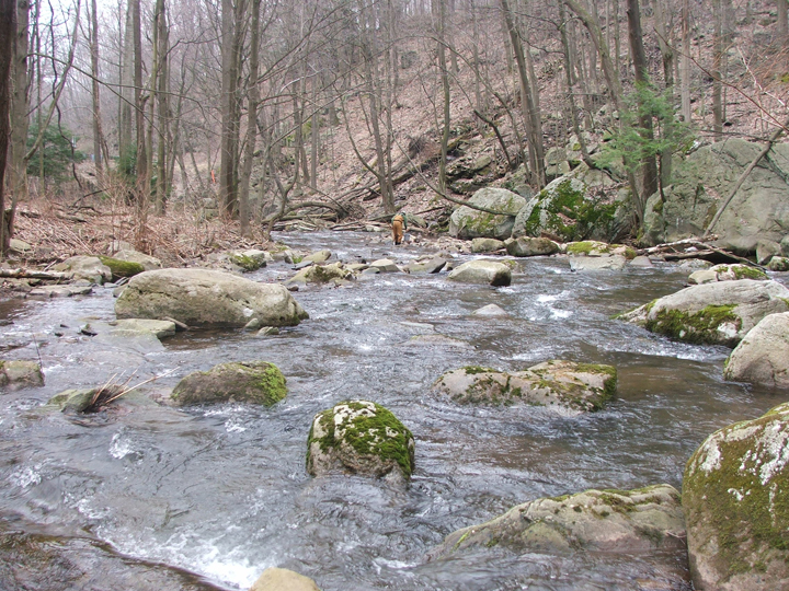 Field photo showing stream conditions at site SAVA-204-S-2008-2