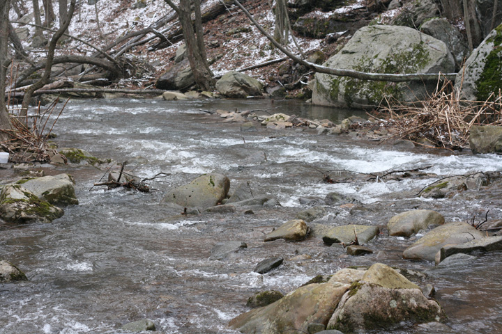 Field photo showing stream conditions at site SAVA-204-S-2009-1